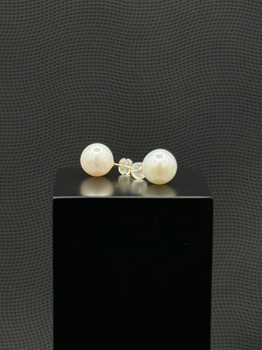 Cultured, South Sea, pearl earrings, exhibited on black box, white, stud style, fairly sharp, 11mm, 18k yellow gold.