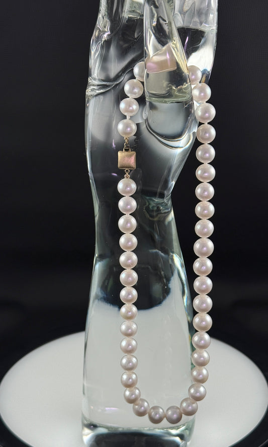 16"  South Sea White Pearl Necklace | AAA Grade  | 14k Notable Clasp