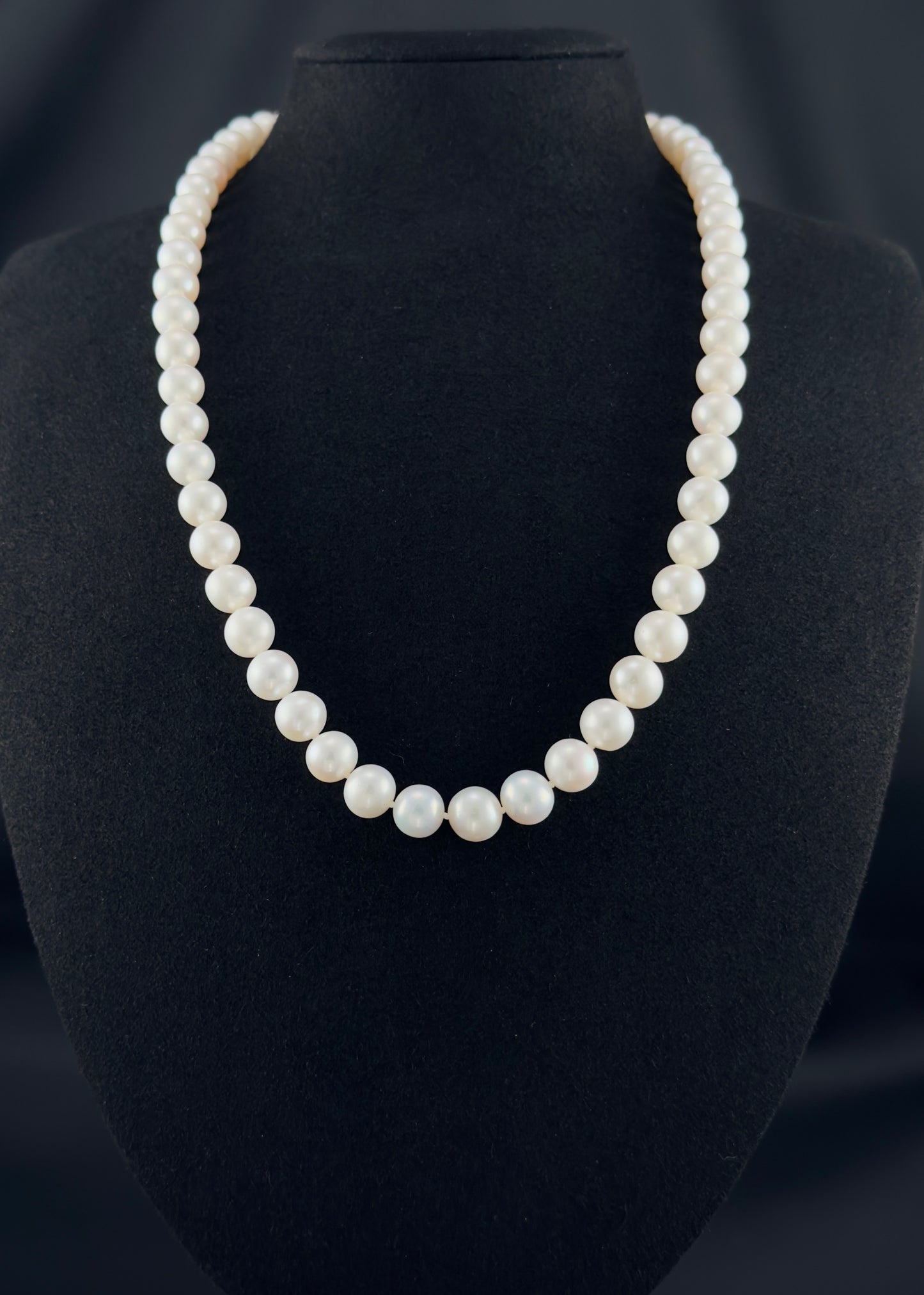 20" South Sea White Pearl Necklace | AAAAA Grade | 14K (white-gold) Clasp