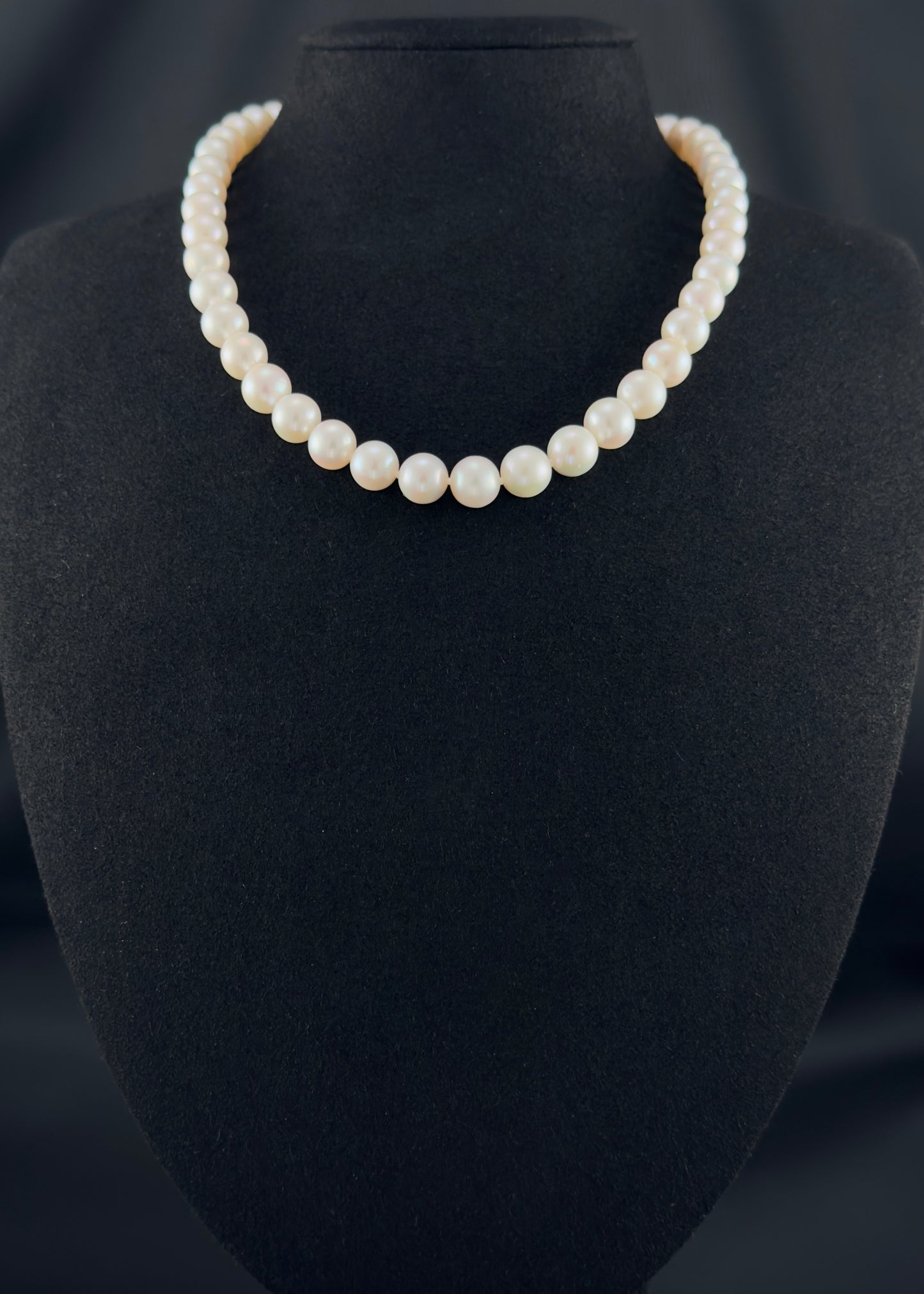 Cultured, South Sea white pearl necklace, exhibited on black suede, 9-10.mm, 16", white gold clasp.