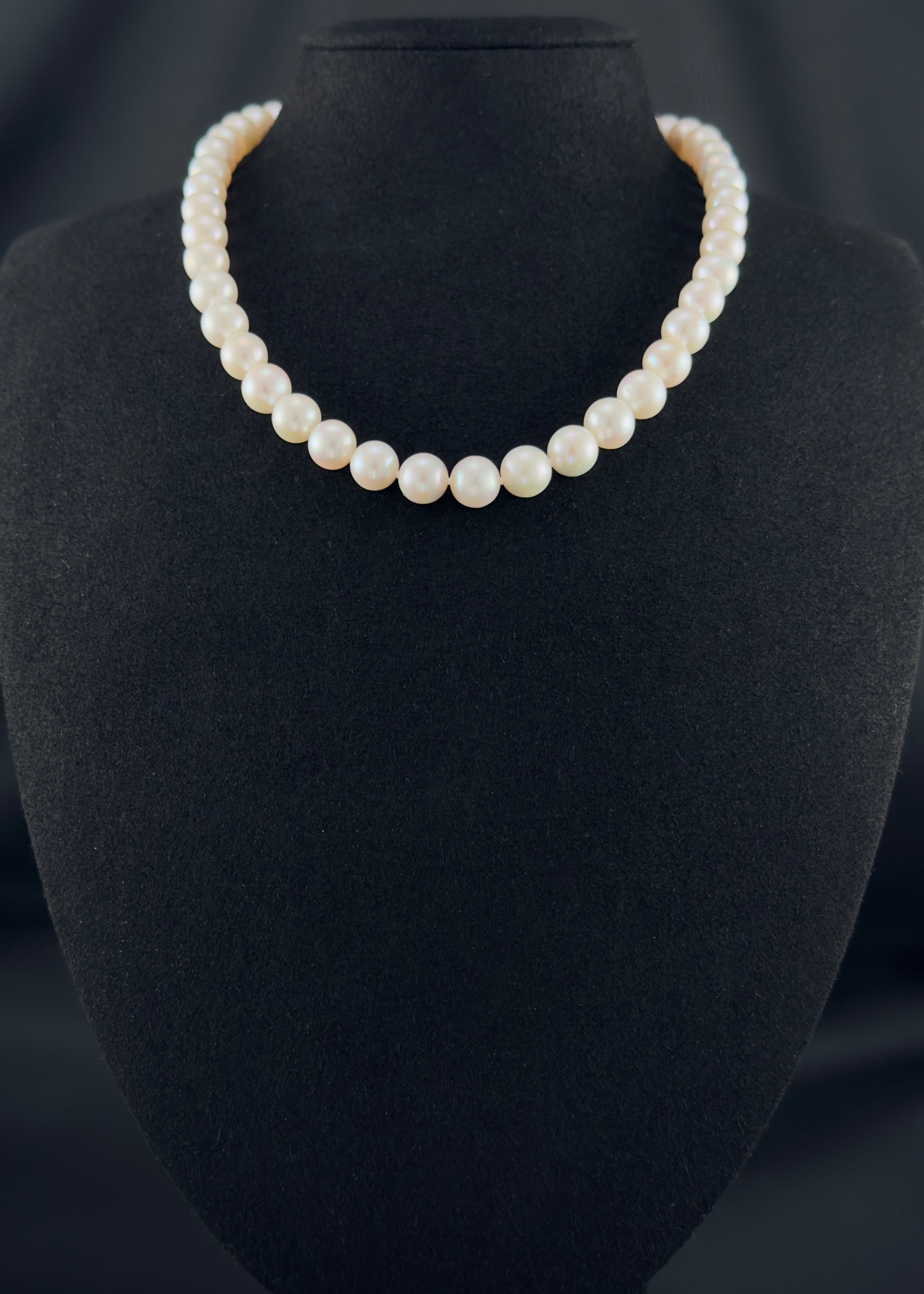 Cultured, South Sea white pearl necklace, exhibited on black suede, 9-10.mm, 16", white gold clasp.