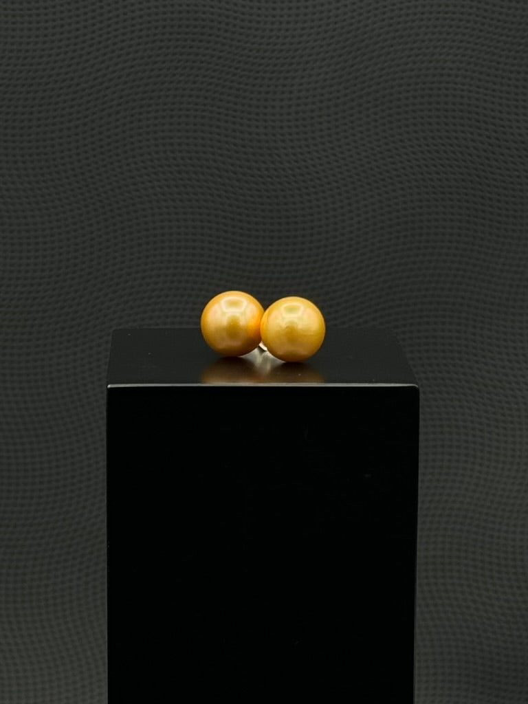 Cultured, South Sea, pearl earrings, exhibited on black box, deep gold, stud style, extremely sharp, 11mm, 18k yellow gold.