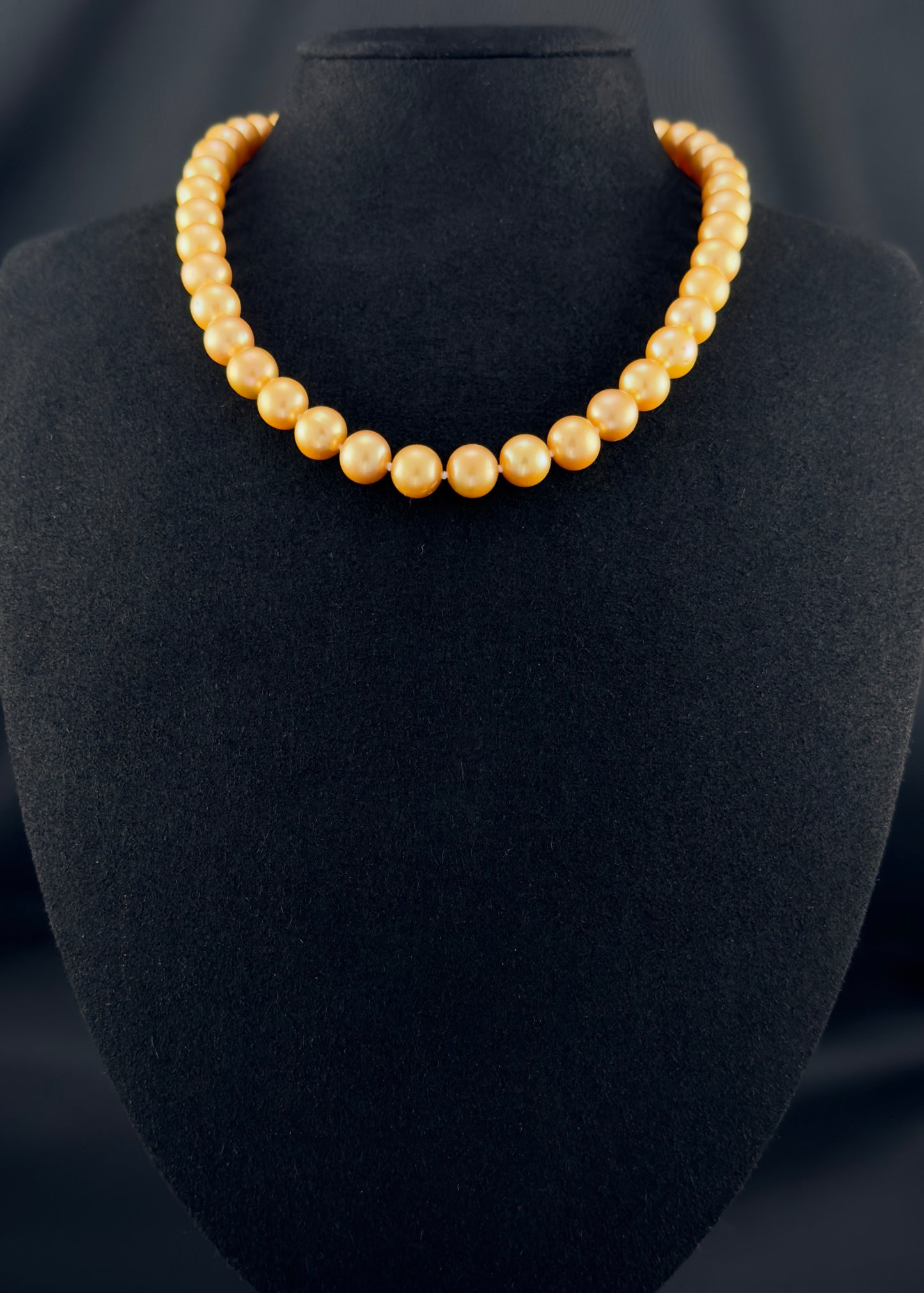 Cultured, South Sea deep-gold pearl necklace, exhibited on black suede, excellent reflection, 9-10mm, 16", yellow gold clasp.