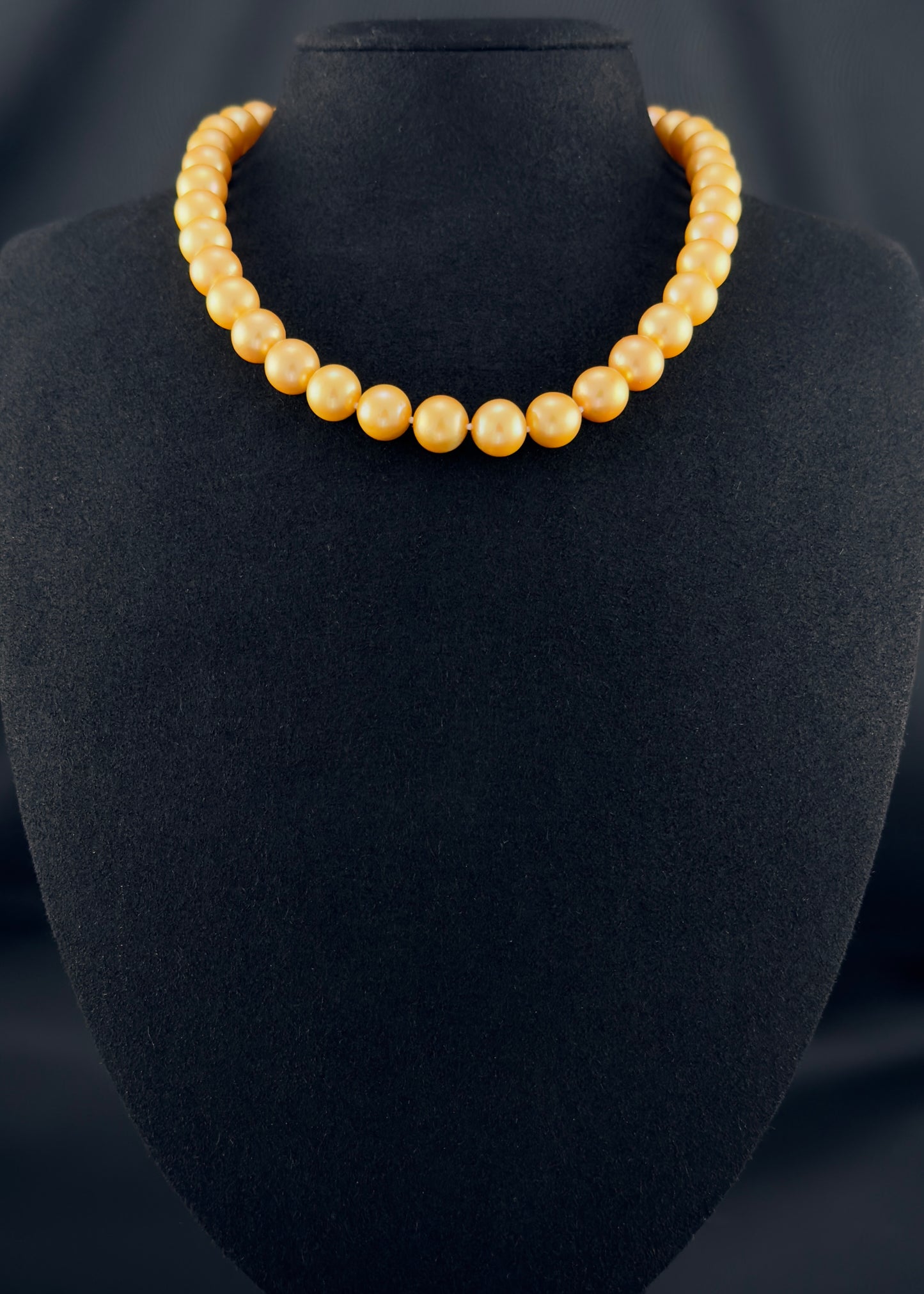 Cultured, South Sea deep-gold pearl necklace, exhibited on black suede, excellent reflection, 10-11mm, 16", yellow gold clasp.