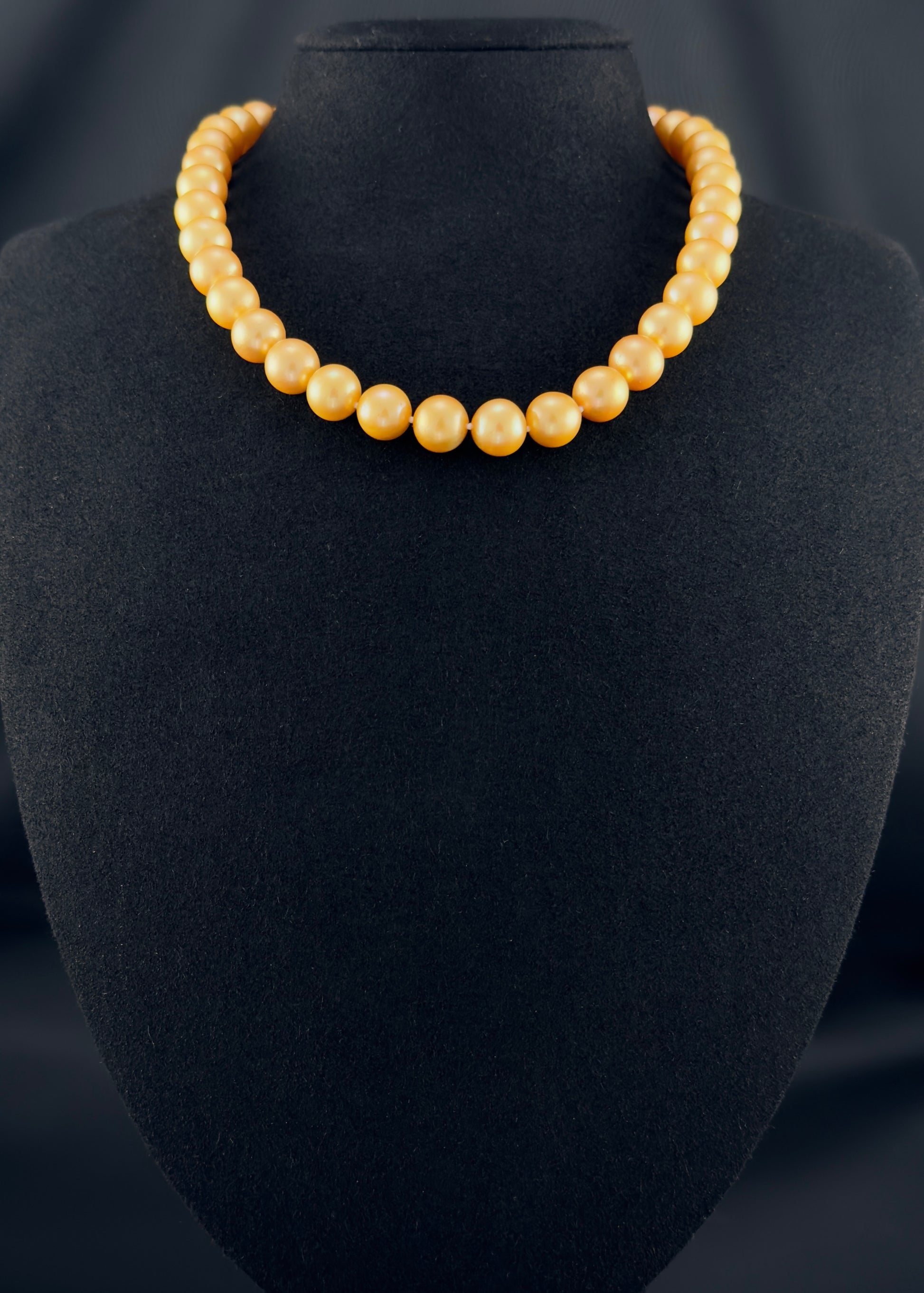 Cultured, South Sea deep-gold pearl necklace, exhibited on black suede, excellent reflection, 10-11mm, 16", yellow gold clasp.