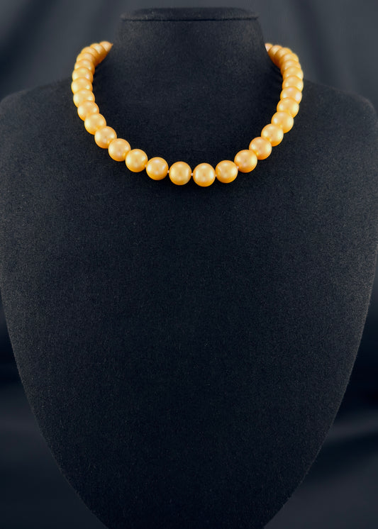 Cultured, South Sea deep-gold pearl necklace, exhibited on black suede, excellent reflection, 10-11mm, 16", yellow gold clasp.