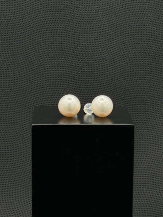 Cultured, South Sea, pearl earrings, exhibited on black box, white, stud style, sound reflection, 11.5mm, 18k white gold.