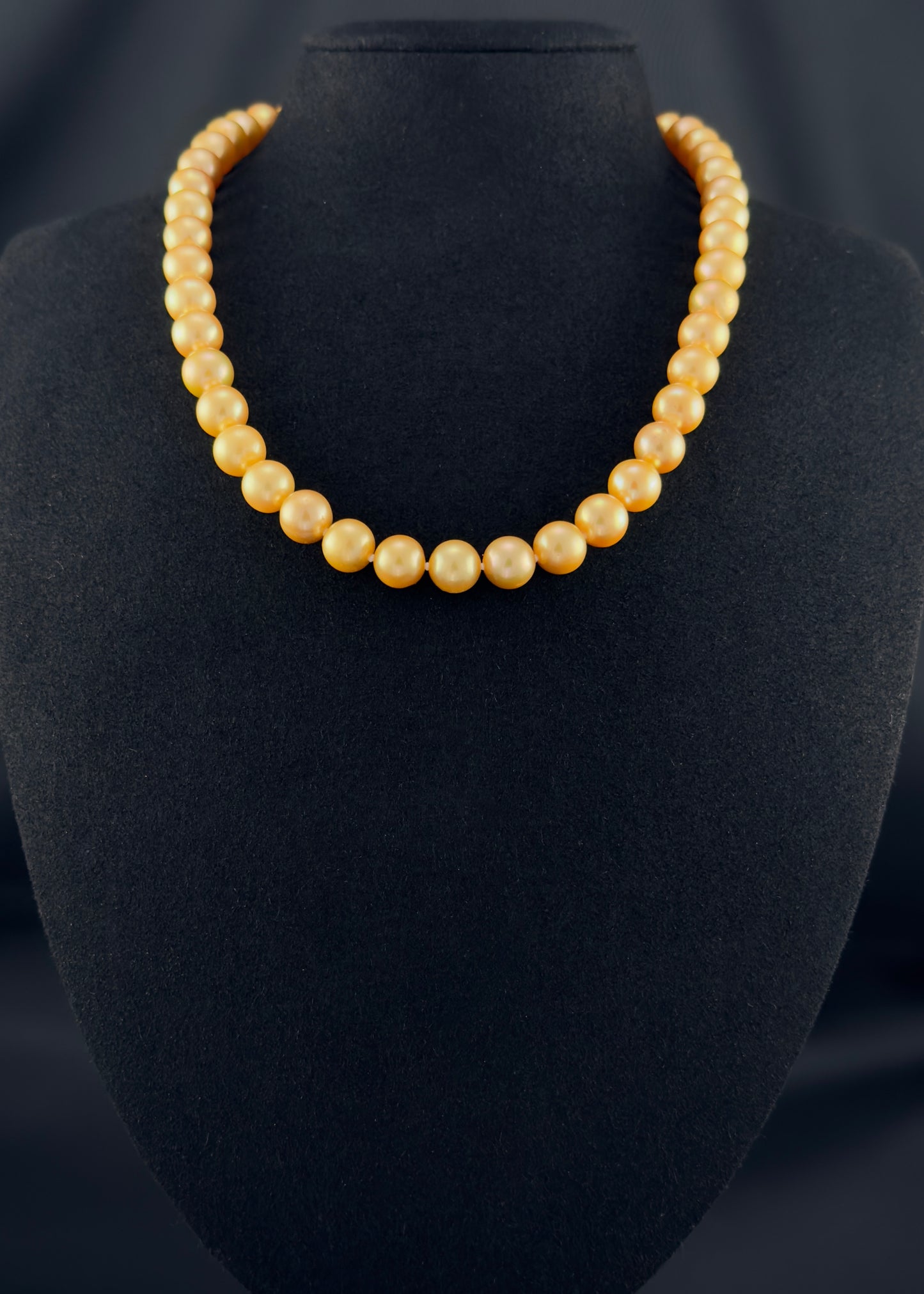 Cultured, South Sea deep-gold pearl necklace, exhibited on black suede, sound reflection, 9-10mm, 18", yellow gold clasp.