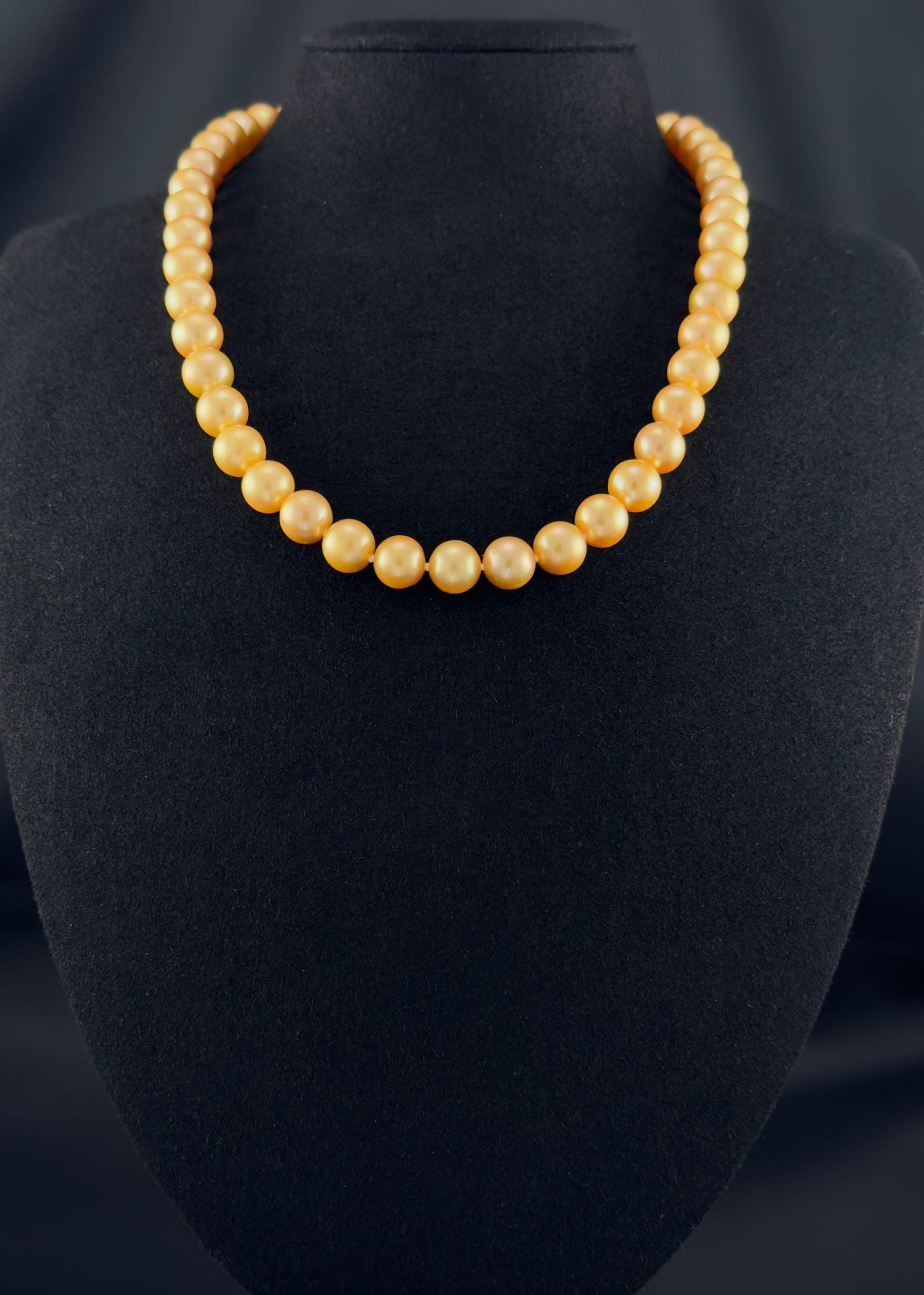 Cultured, South Sea deep-gold pearl necklace, exhibited on black suede, sound reflection, 9-10mm, 18", yellow gold clasp.
