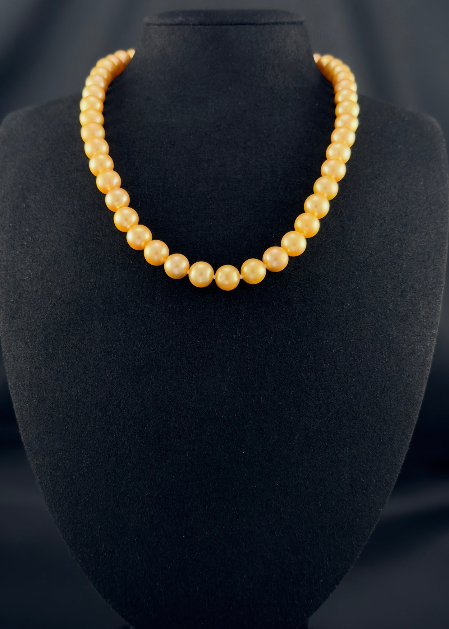 Cultured, South Sea deep-gold pearl necklace, exhibited on black suede, excellent reflection, 9-10mm, 18", yellow gold clasp.