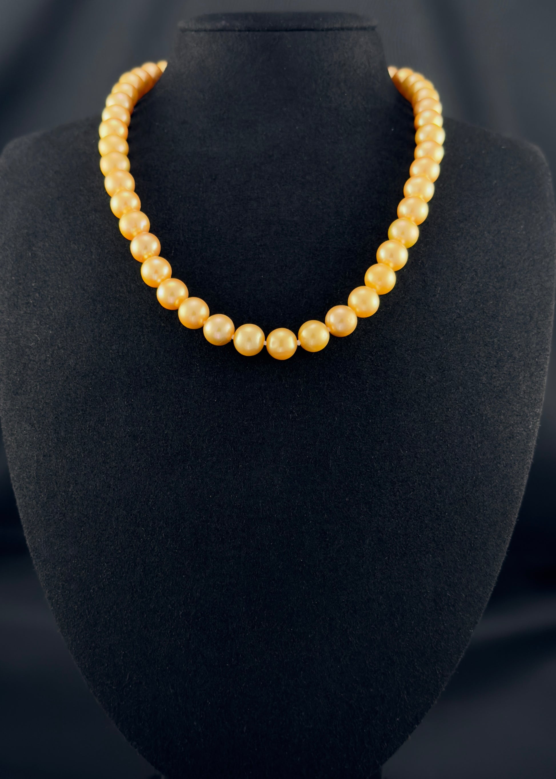 Cultured, South Sea deep-gold pearl necklace, exhibited on black suede, excellent reflection, 9-10mm, 18", yellow gold clasp.