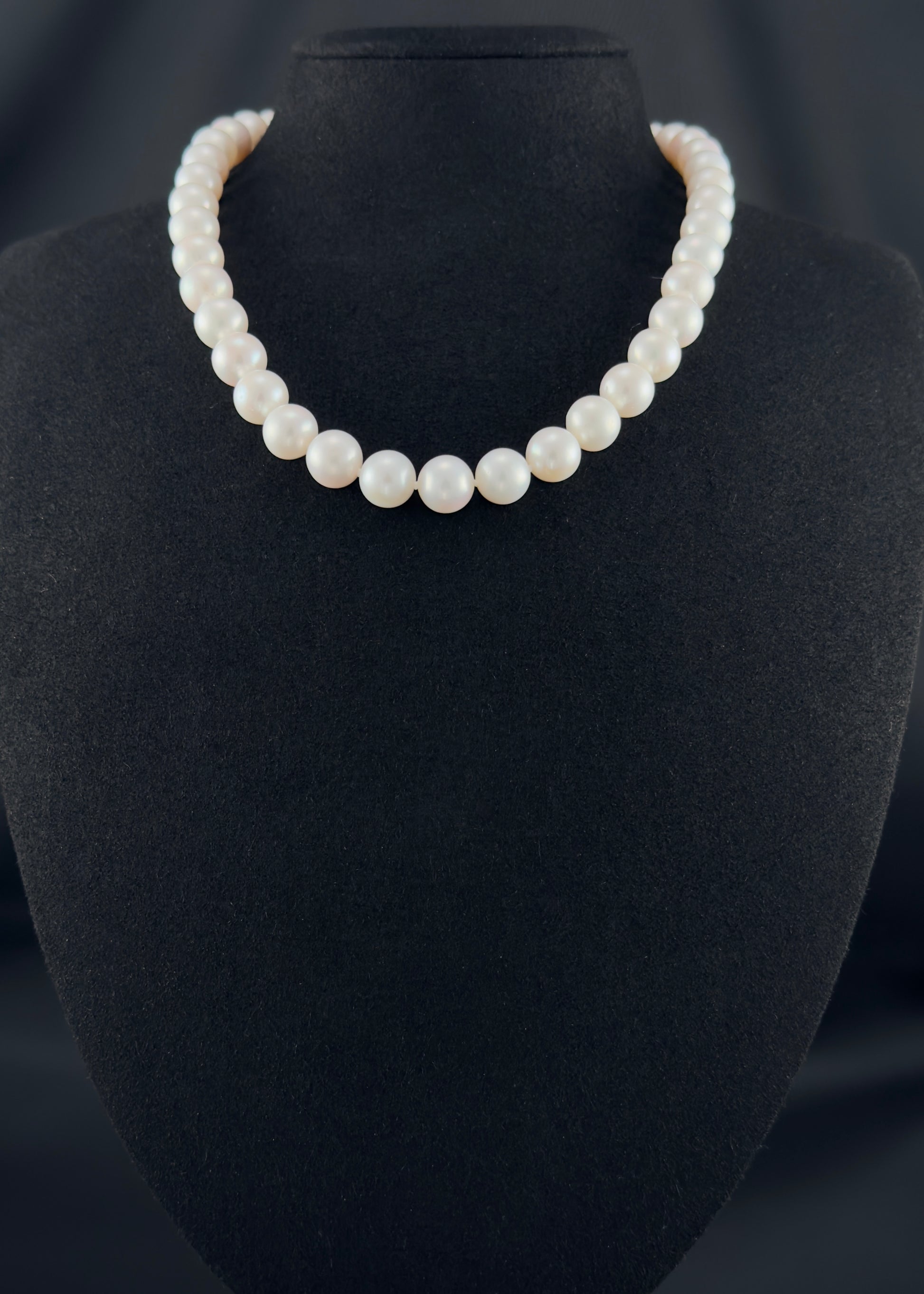 Cultured, South Sea white pearl necklace, exhibited on black suede, excellent refection, 10-11mm, 16", white gold clasp.