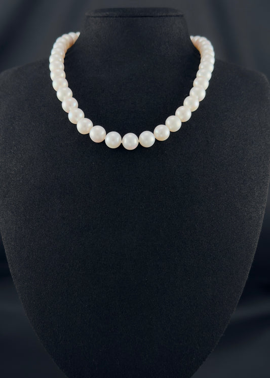 Cultured, South Sea white pearl necklace, exhibited on black suede, excellent refection, 10-11mm, 16", white gold clasp.