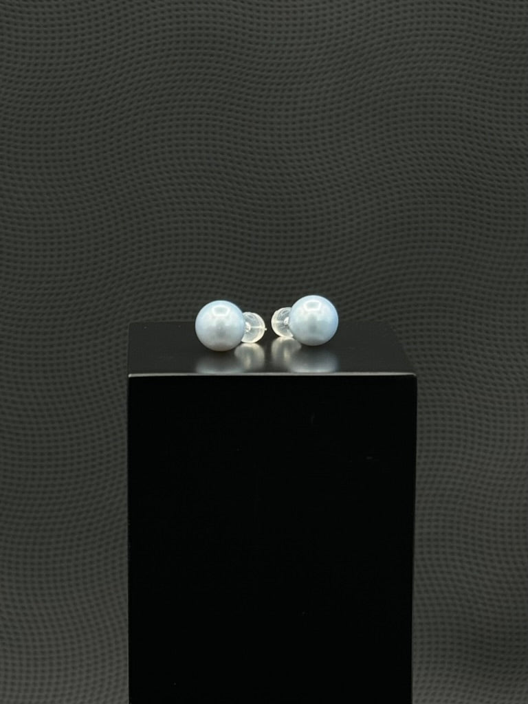 Cultured, South Sea, pearl earrings, exhibited on black box, light blue, stud style, excellent reflection, 10-11mm, 18k white gold.