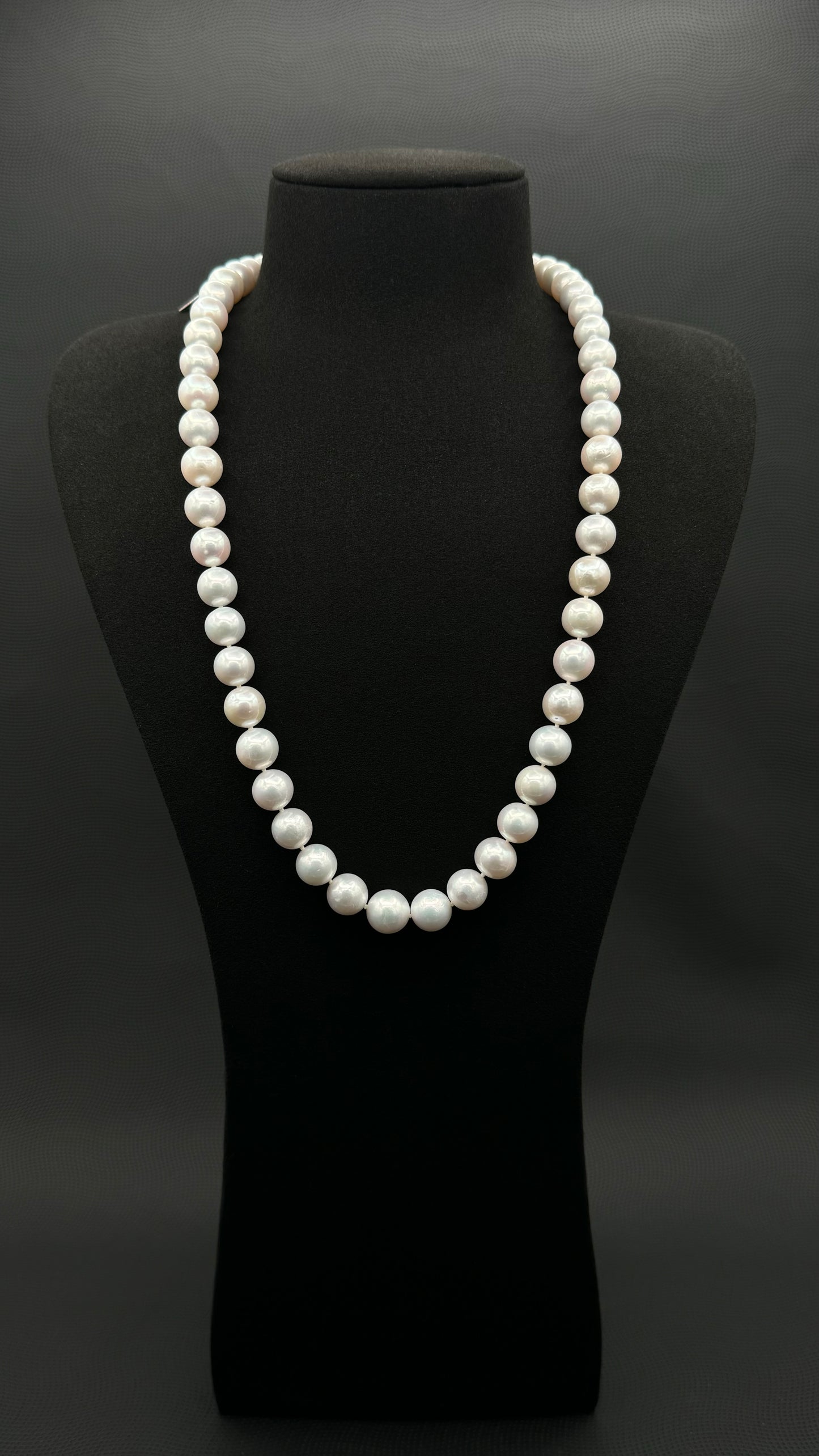 Cultured, South Sea, white pearl necklace, exhibit on black suede, sharp reflection, 10-12mm, 24",white gold clasp.