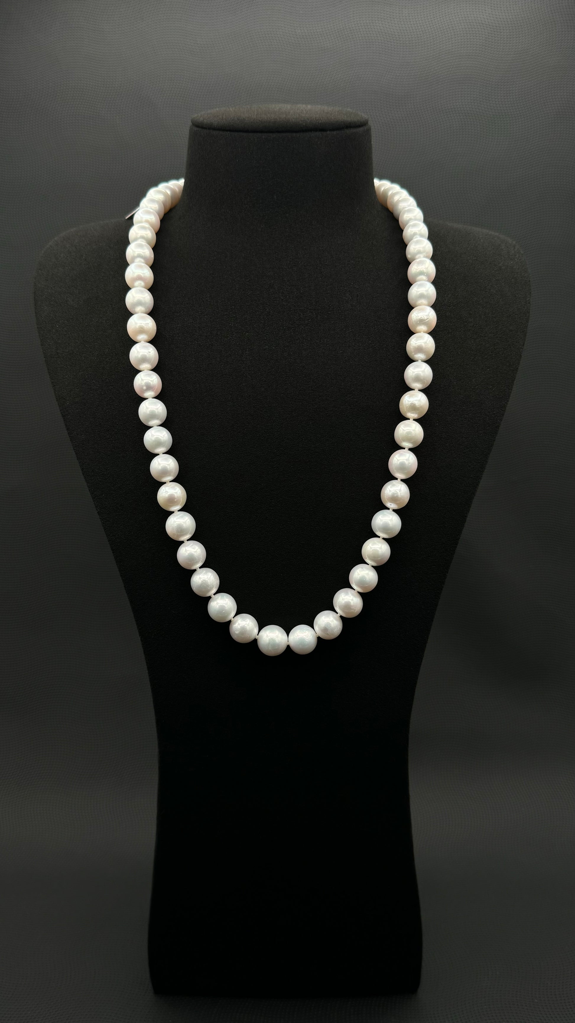 Cultured, South Sea, white pearl necklace, exhibit on black suede, sharp reflection, 10-12mm, 24",white gold clasp.
