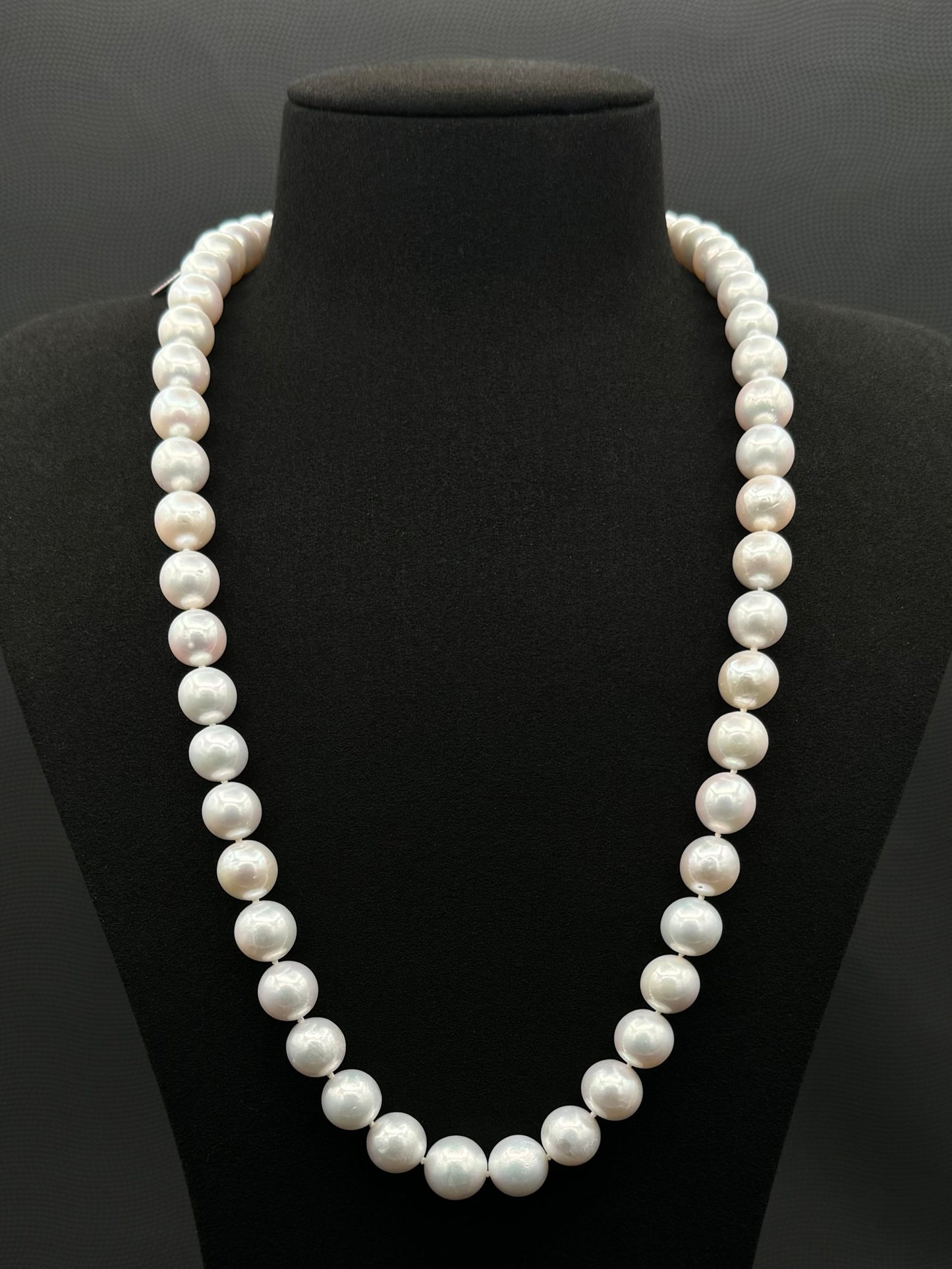 Cultured, South Sea, white pearl necklace, exhibit on black suede, sharp reflection, 10-12mm, 24", white gold clasp.