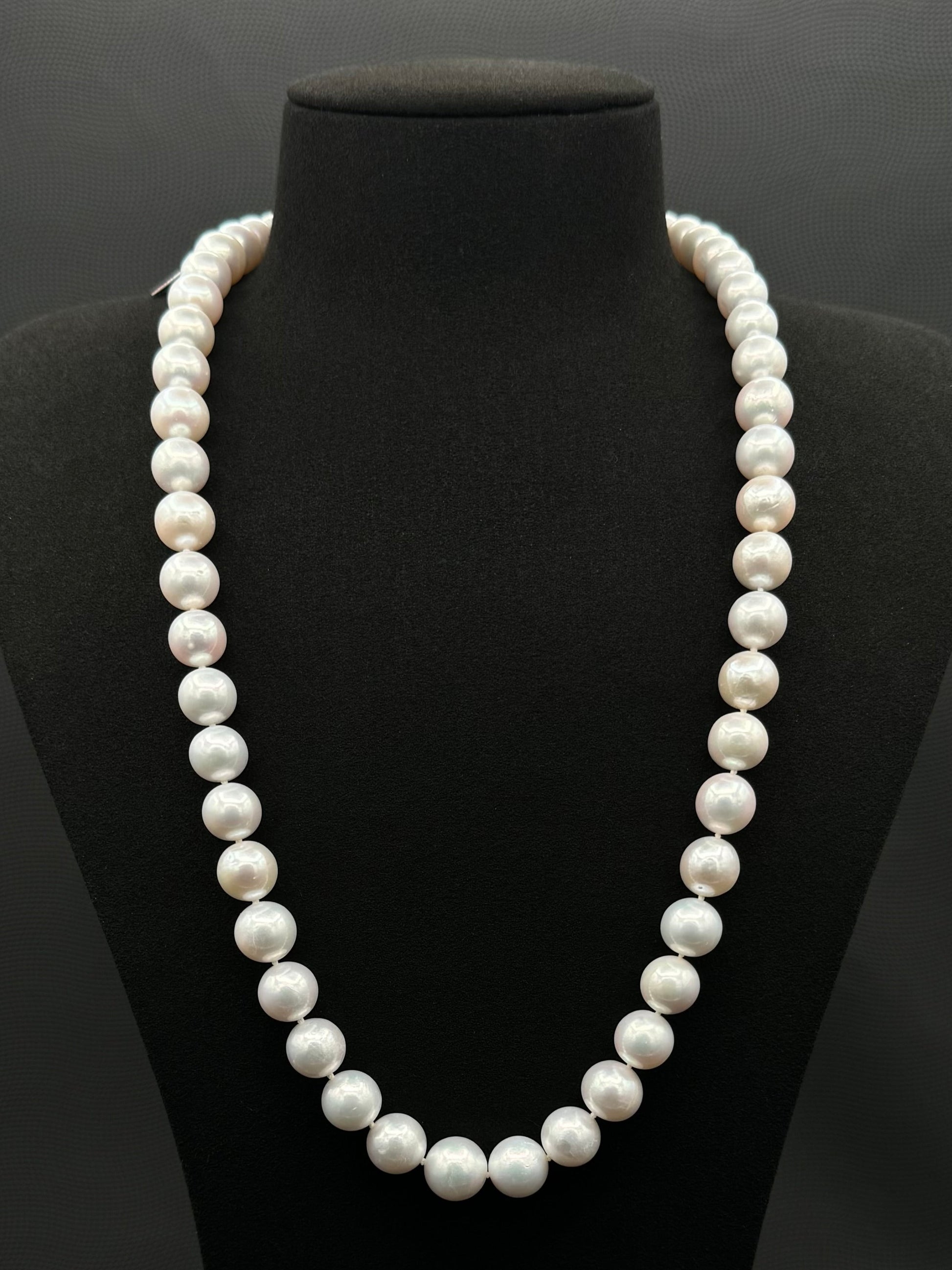 Cultured, South Sea, white pearl necklace, exhibit on black suede, sharp reflection, 10-12mm, 24", white gold clasp.