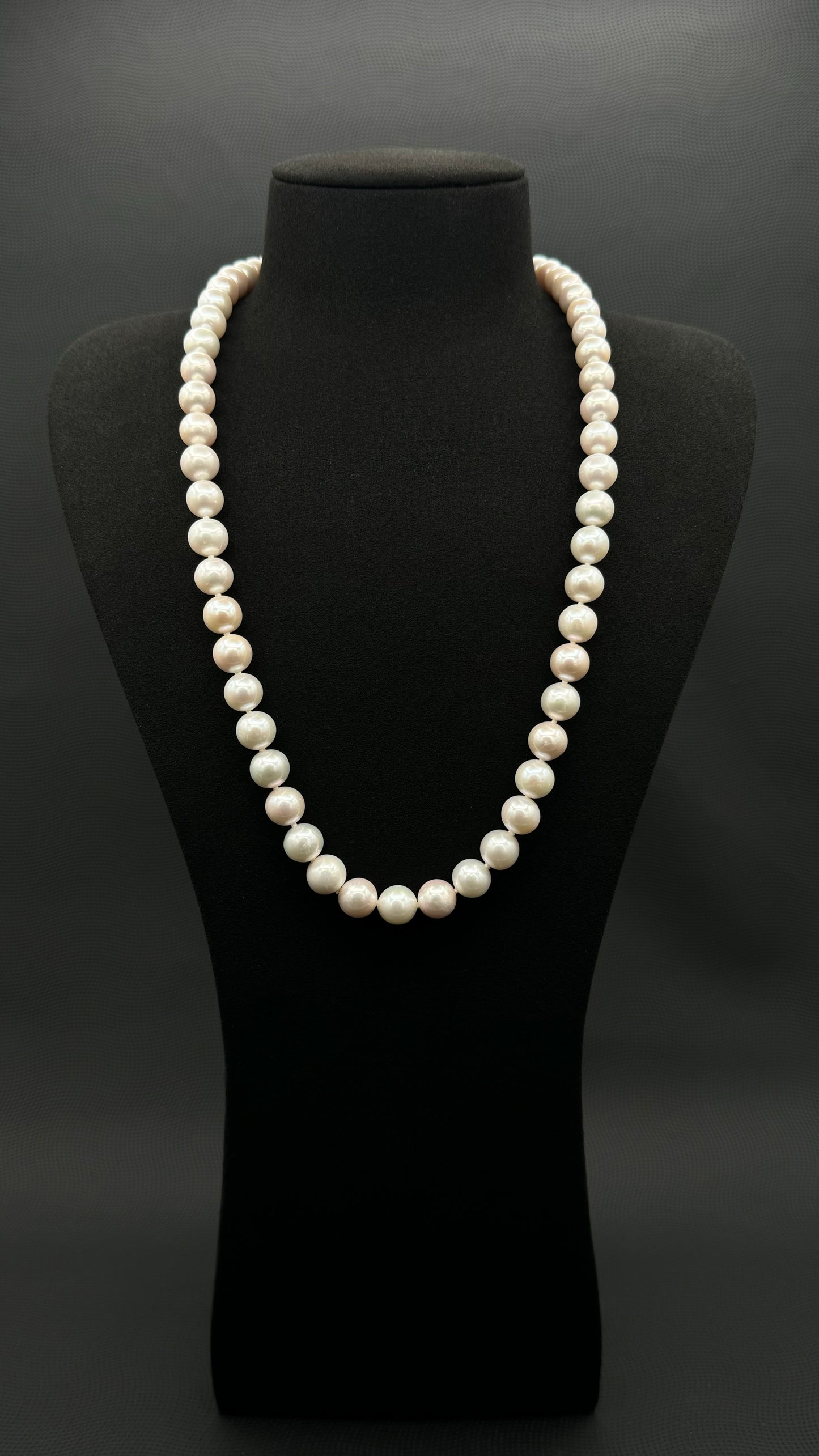 Cultured, South Sea white pearl continuous strand necklace, exhibited on black suede, excellent reflection, 9.5-11mm, 24", no clasp.