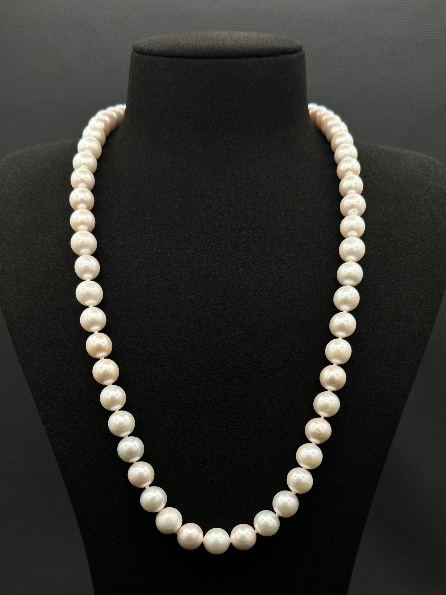 Cultured, South Sea white pearl continuous strand necklace, exhibited on black suede, excellent reflection, 9.5-11mm, 24", no clasp.