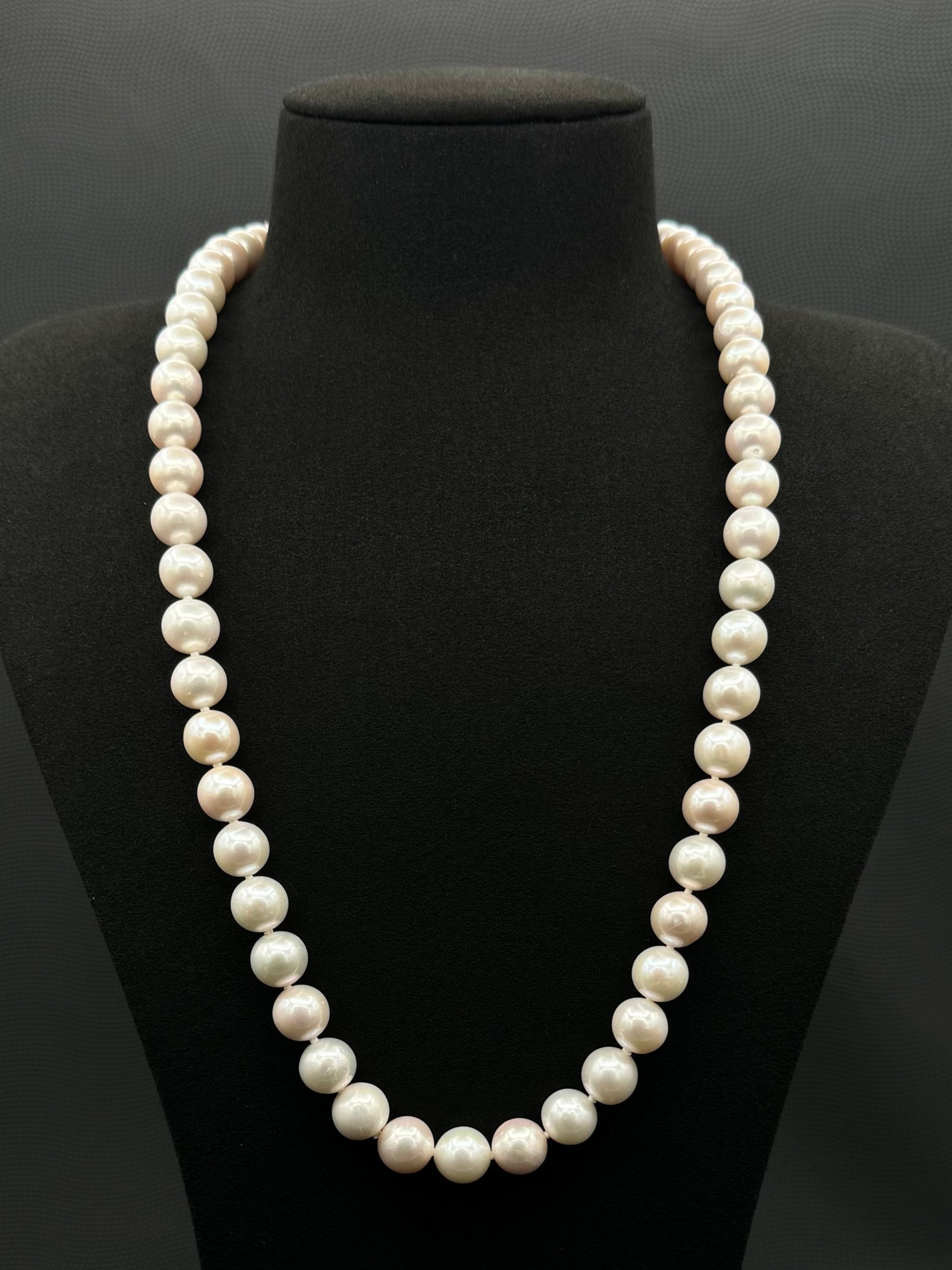 Cultured, South Sea white pearl continuous strand necklace, exhibited on black suede, excellent reflection, 9.5-11mm, 24", no clasp.