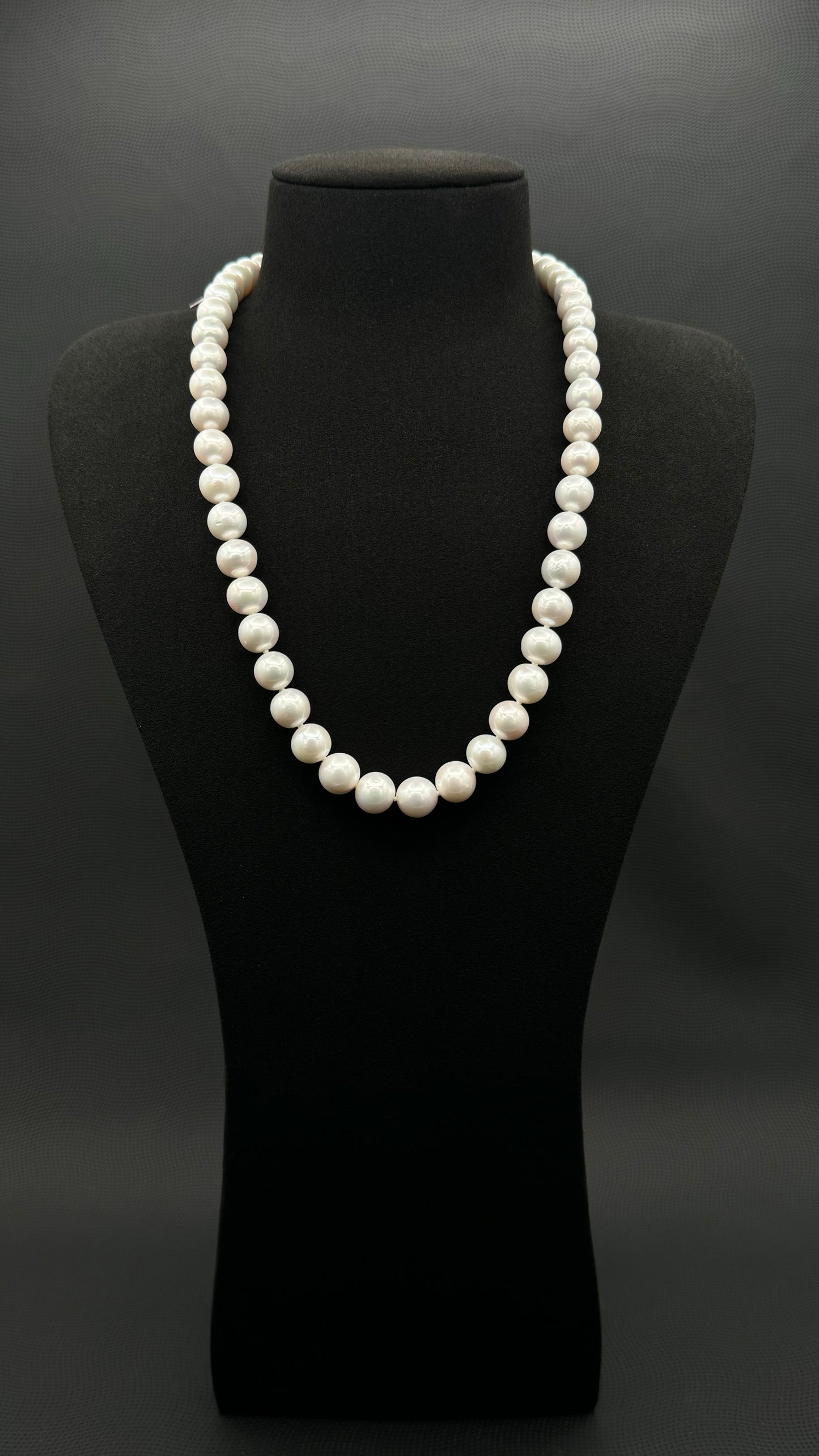 Cultured, South Sea, white pearl strand necklace, exhibited on black suede, excellent reflection, 9.5-11mm, 21.5", white gold clasp.