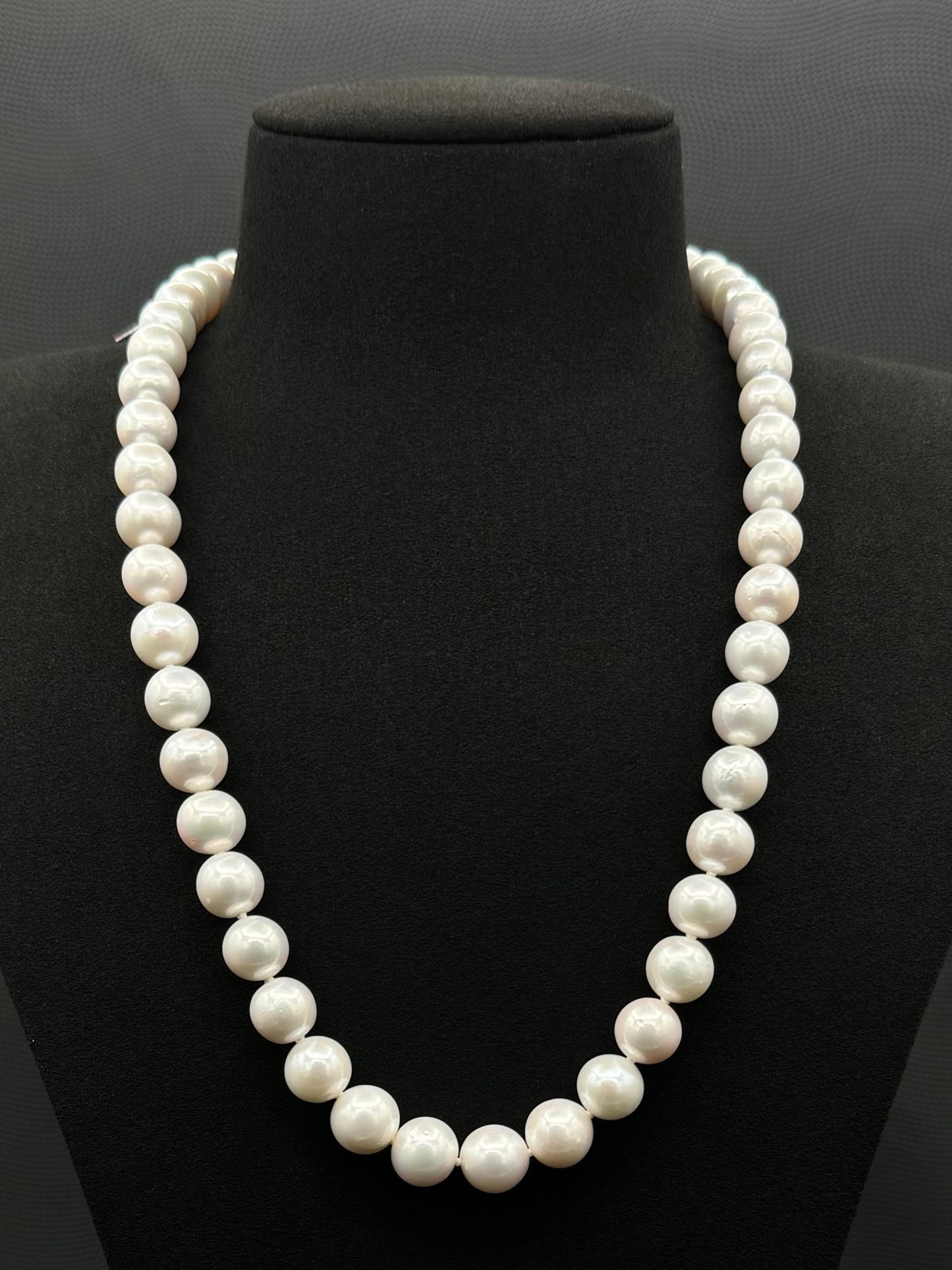 Cultured, South Sea, white pearl strand necklace, exhibited on black suede, excellent reflection, 9.5-11mm, 21.5", white gold clasp.