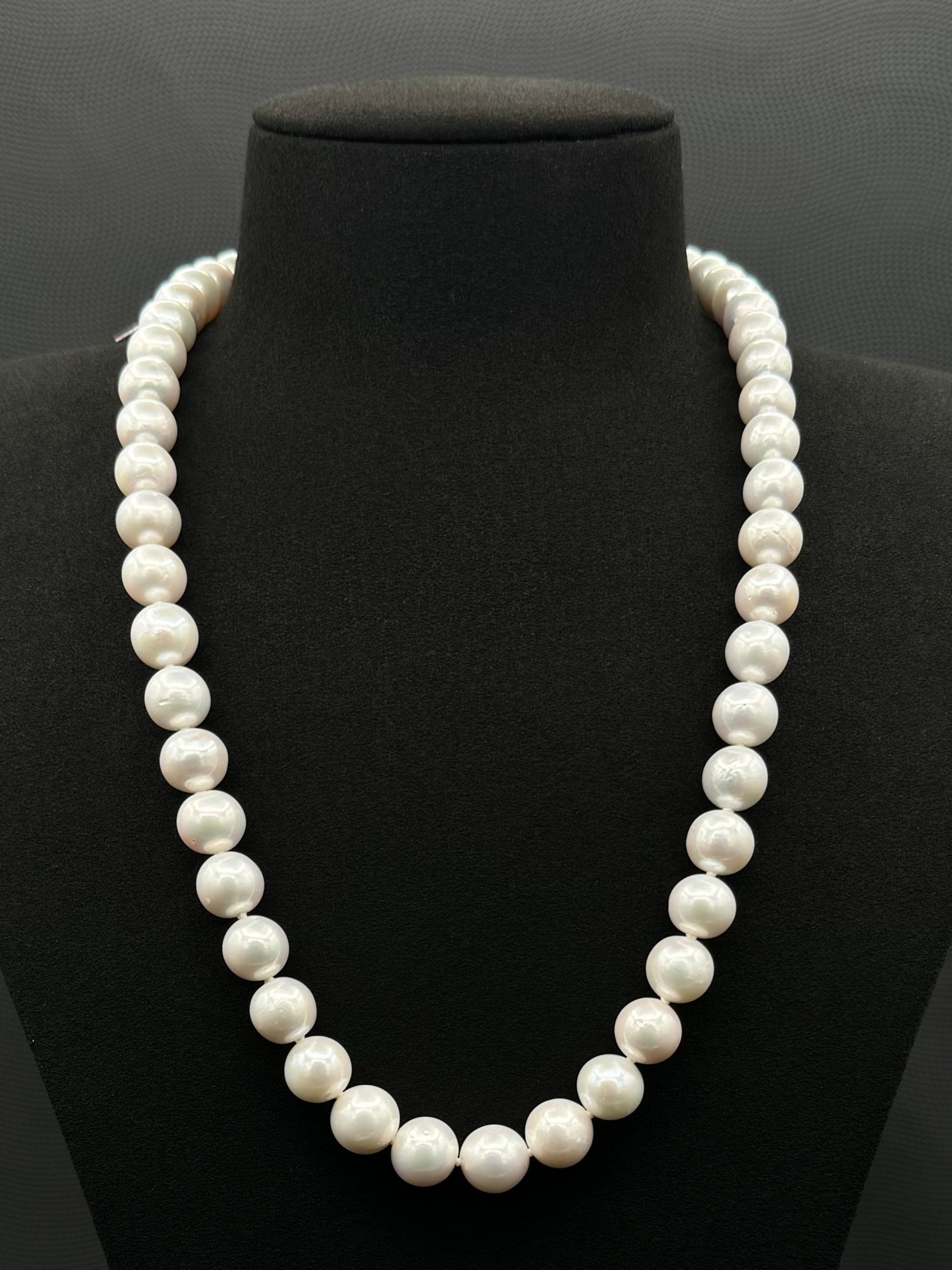 Cultured, South Sea, white pearl strand necklace, exhibited on black suede, excellent reflection, 9.5-11mm, 21.5", white gold clasp.