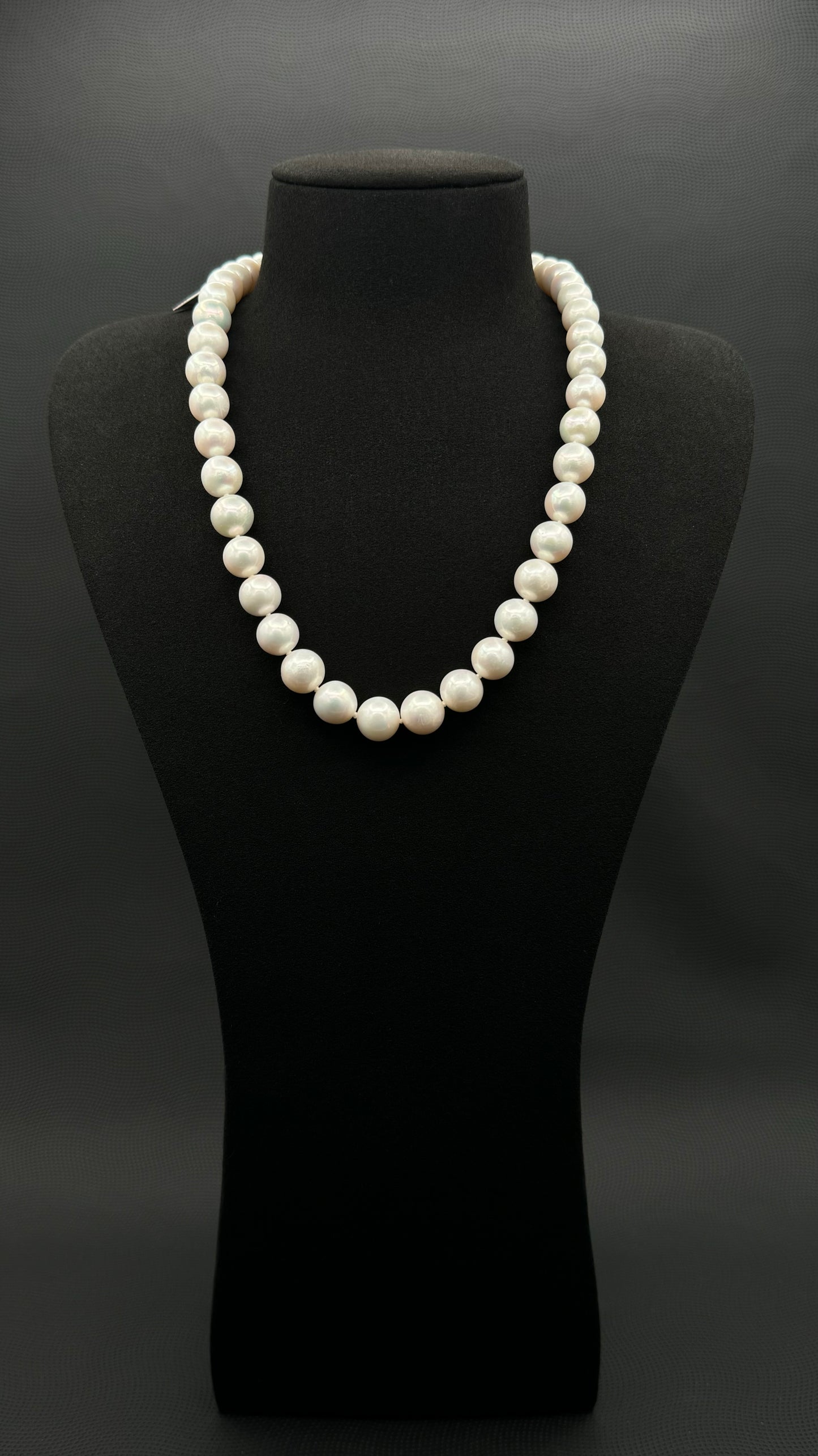Cultured, South Sea, white pearl necklace, exhibit on black suede, sound reflection, 10-12mm, 20", white gold clasp.