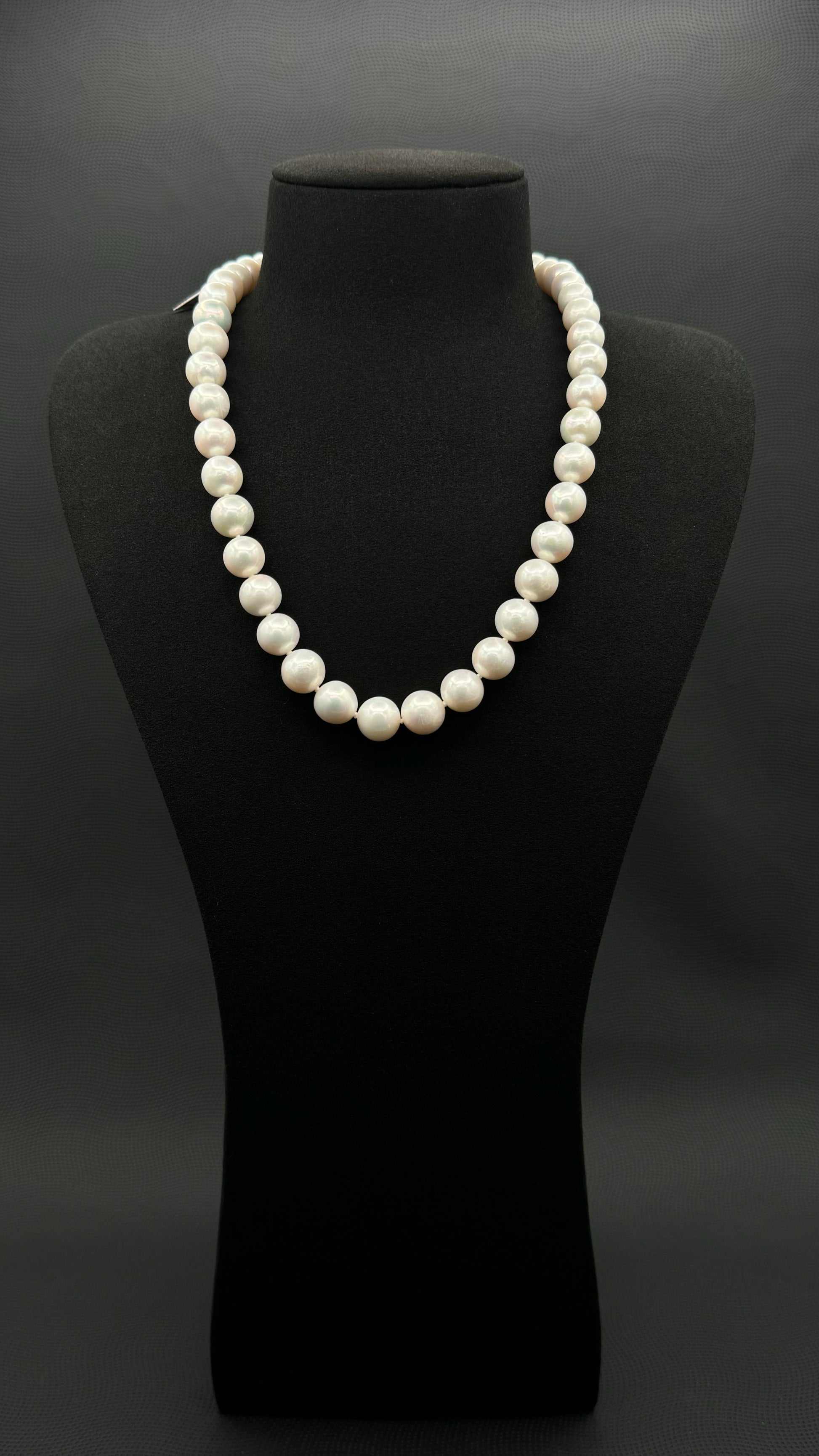 Cultured, South Sea, white pearl necklace, exhibit on black suede, sound reflection, 10-12mm, 20", white gold clasp.