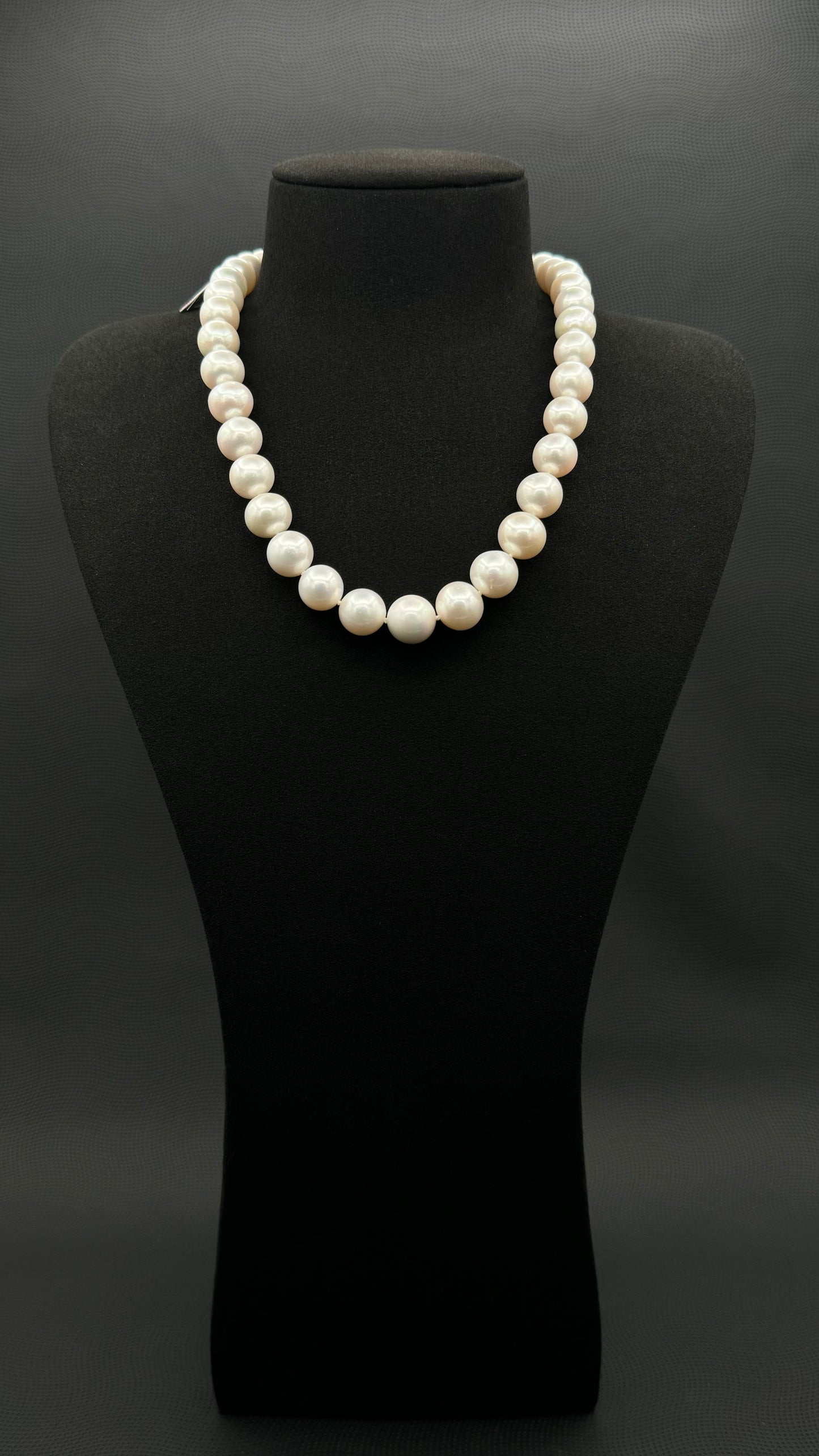 Cultured, South Sea white pearl strand necklace, exhibited on black suede, excellent reflection, 12-14.mm, 18", white gold clasp.
