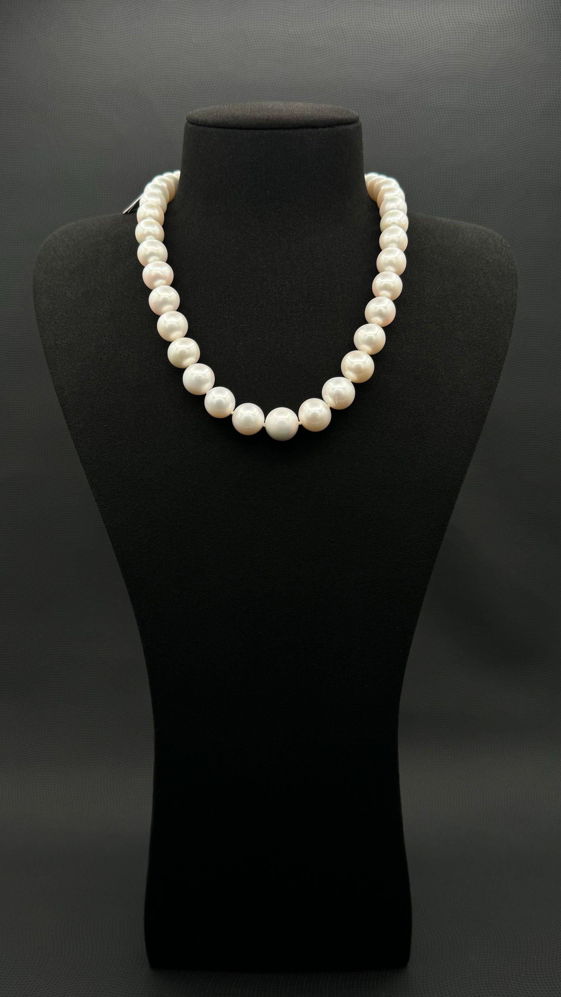 Cultured, South Sea white pearl strand necklace, exhibited on black suede, excellent reflection, 12-14.mm, 18", white gold clasp.