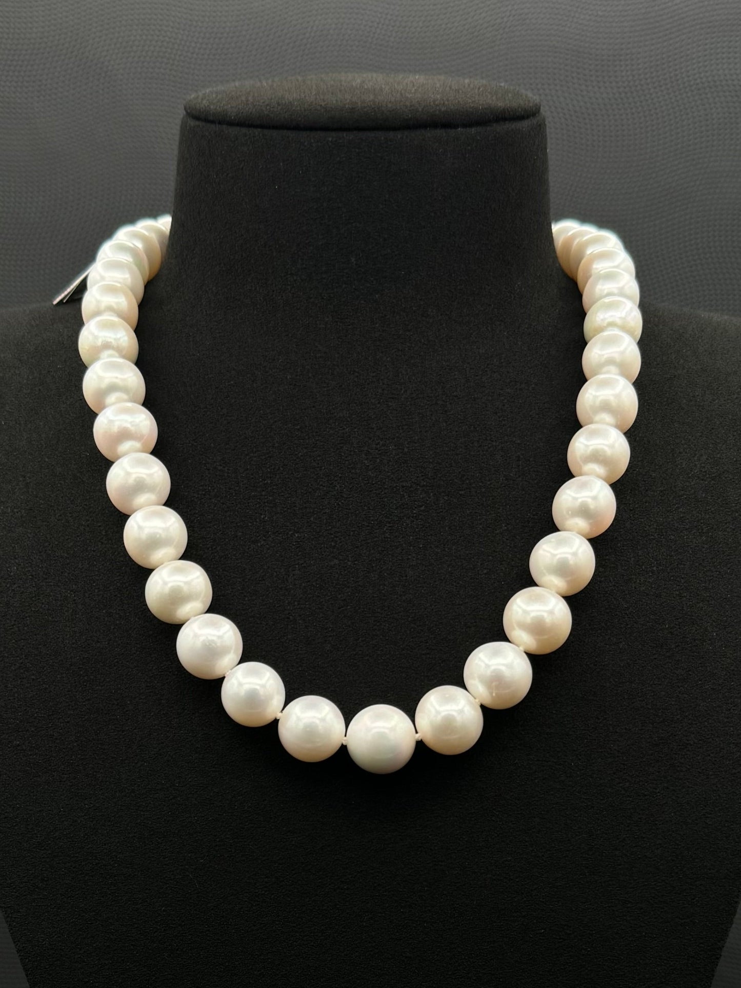 Cultured, South Sea white pearl strand necklace, exhibited on black suede, excellent reflection, 12-14.mm, 18", white gold clasp.