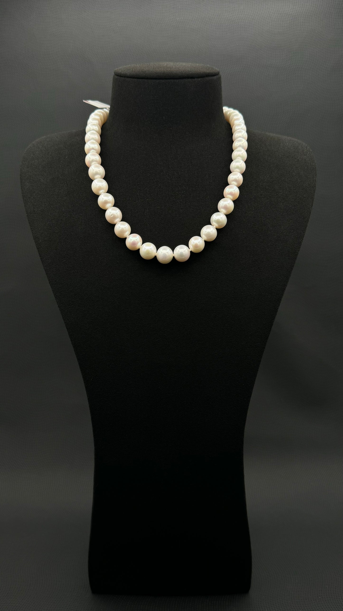 Cultured, South Sea, white pearl necklace, exhibited on black suede, excellent reflection, 10.5-12mm, 17.5", 14k white gold clasp.