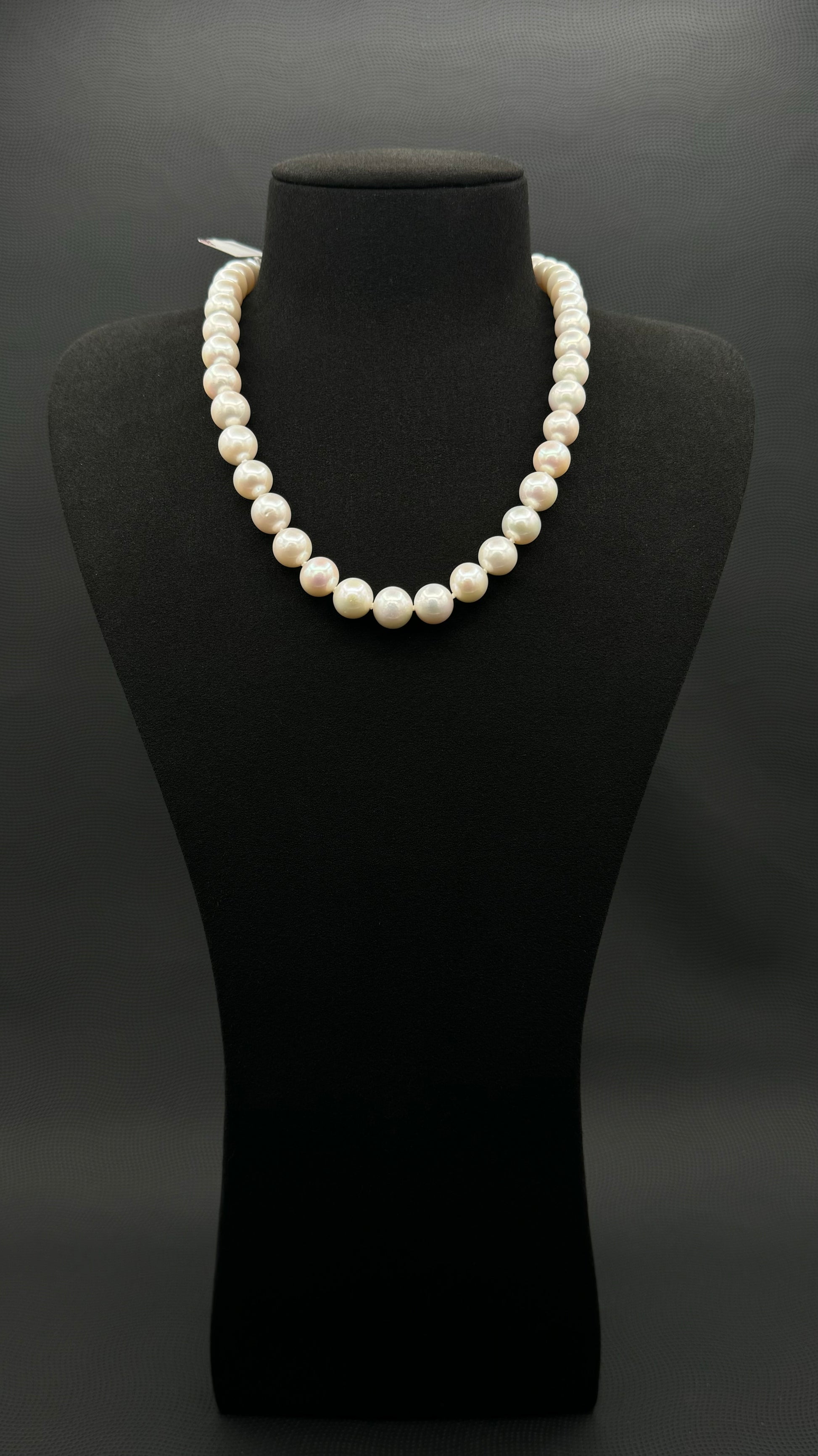 Cultured, South Sea, white pearl necklace, exhibited on black suede, excellent reflection, 10.5-12mm, 17.5", 14k white gold clasp.