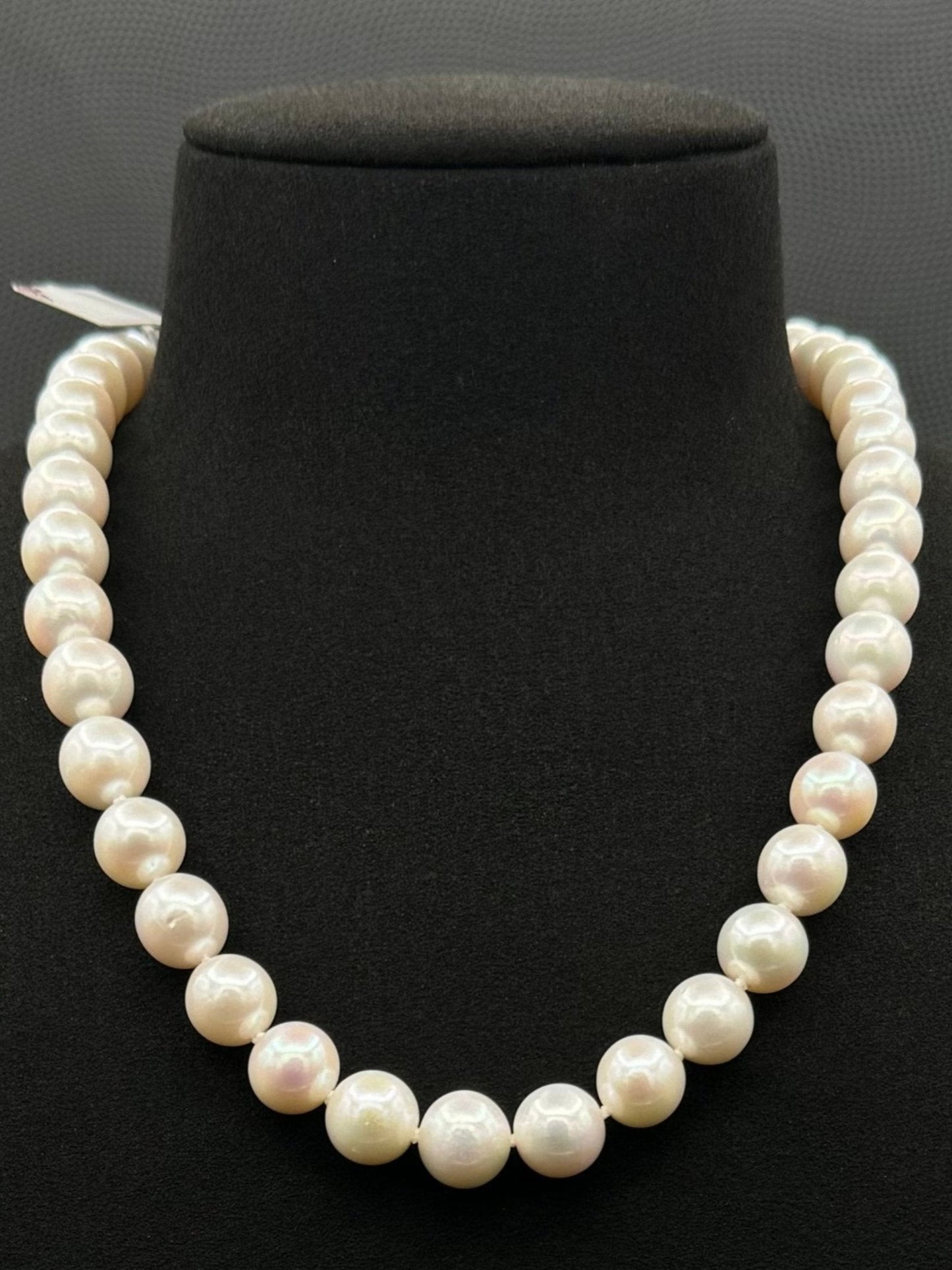 Cultured, South Sea, white pearl necklace, exhibited on black suede, excellent reflection, 10.5-12mm, 17.5", 14k white gold clasp.