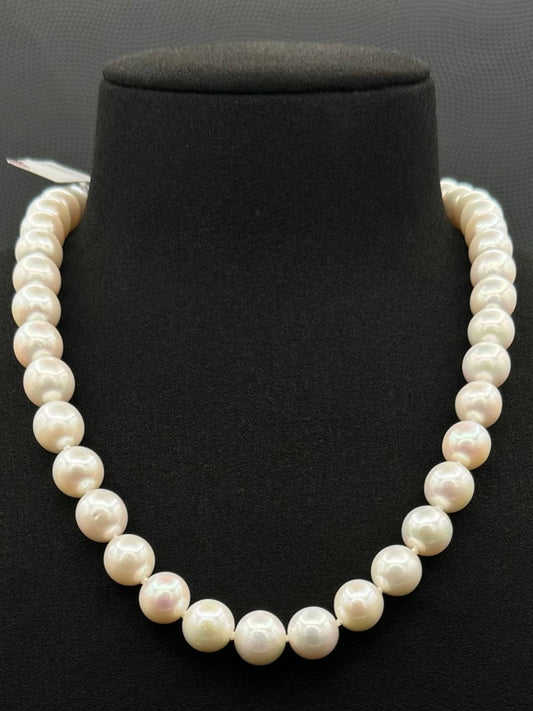 Cultured, South Sea, white pearl necklace, exhibited on black suede, excellent reflection, 10.5-12mm, 17.5", 14k white gold clasp.