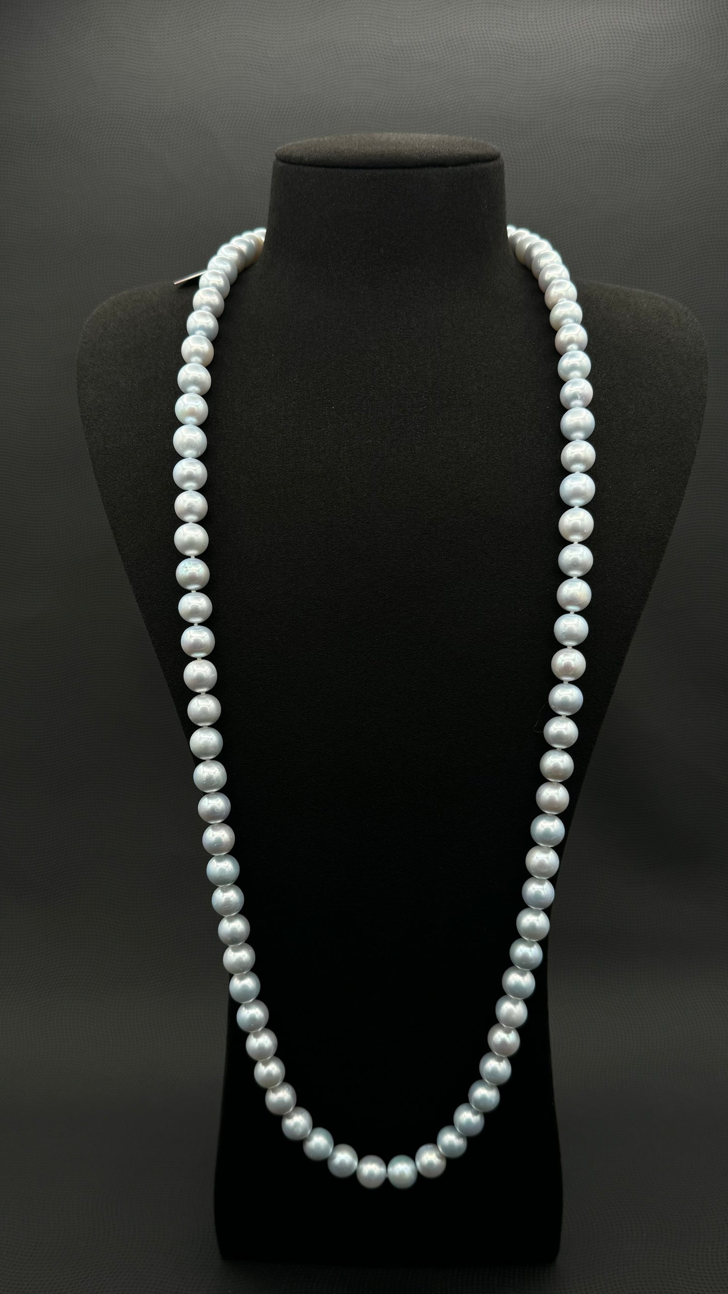Cultured, South Sea, soft blue continuous strand pearl necklace, exhibited on black suede, excellent reflection, 10-11mm, 35", no clasp.