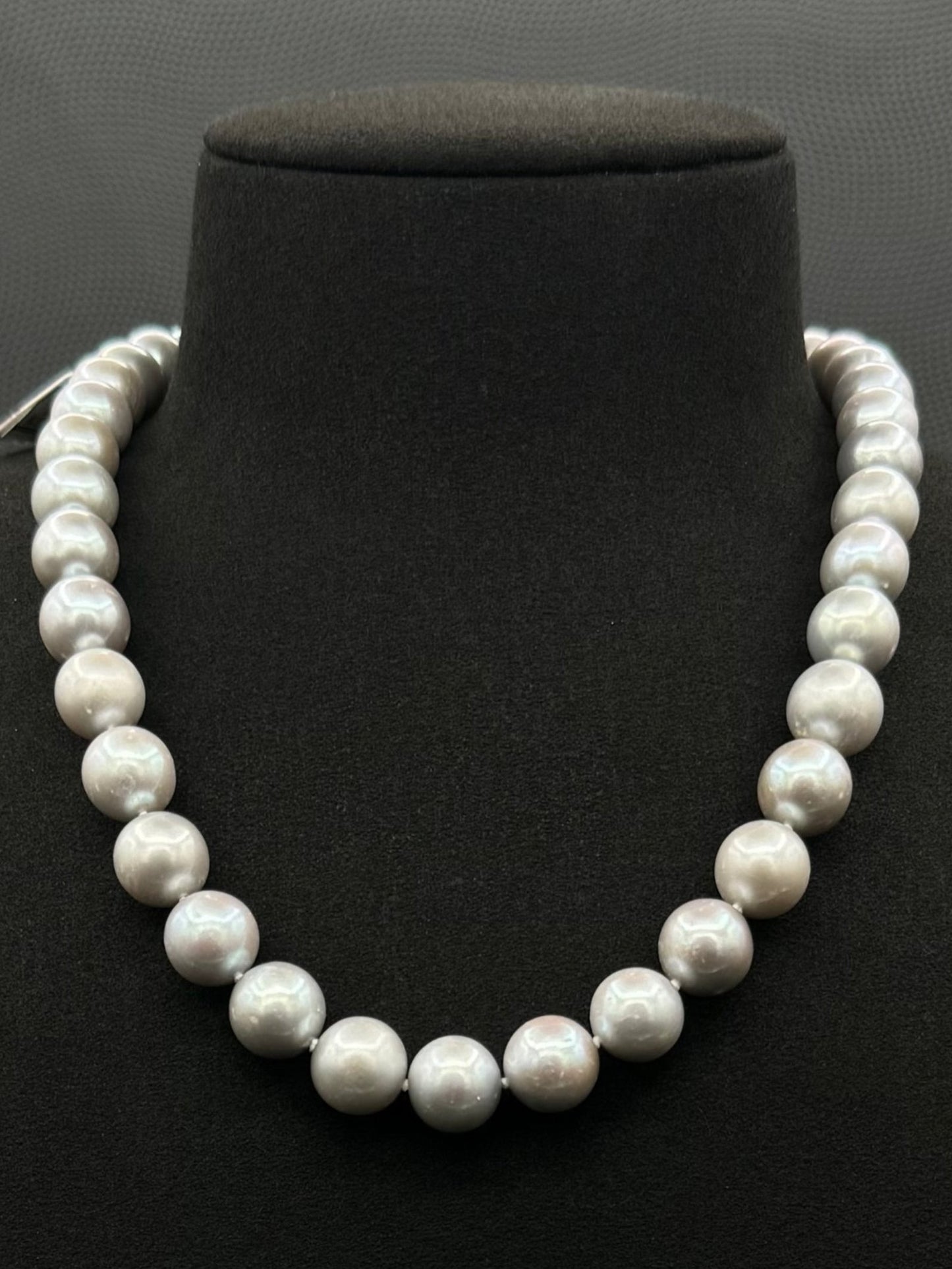 Cultured, South Sea soft grey pearl strand necklace, exhibited on black suede, sound reflection, 10.5-11mm, 18", white gold clasp.