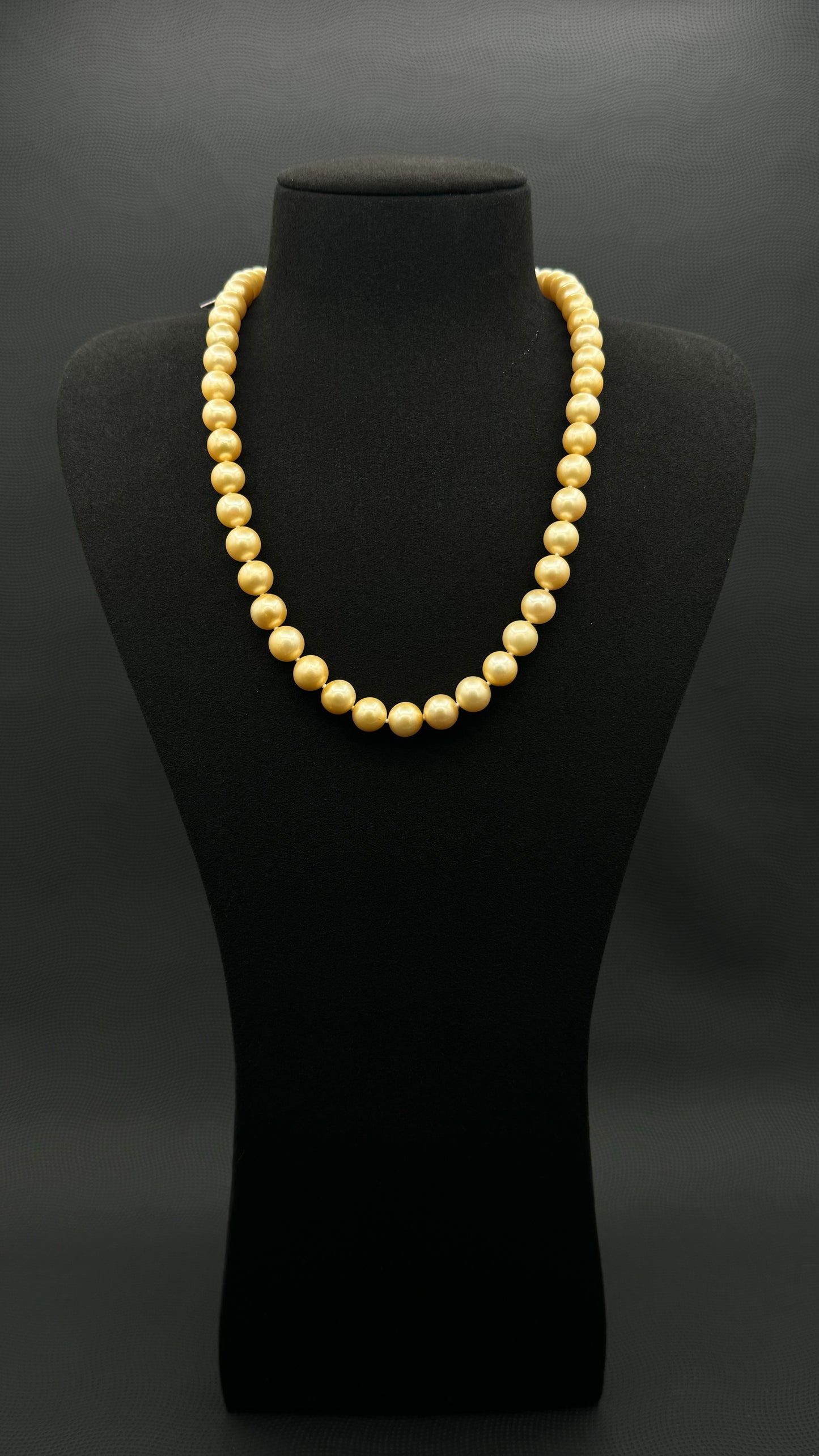 Cultured, South Sea golden pearl necklace, exhibited on black suede, fair to sound reflection, 8.5-10mm, 20", yellow gold clasp.