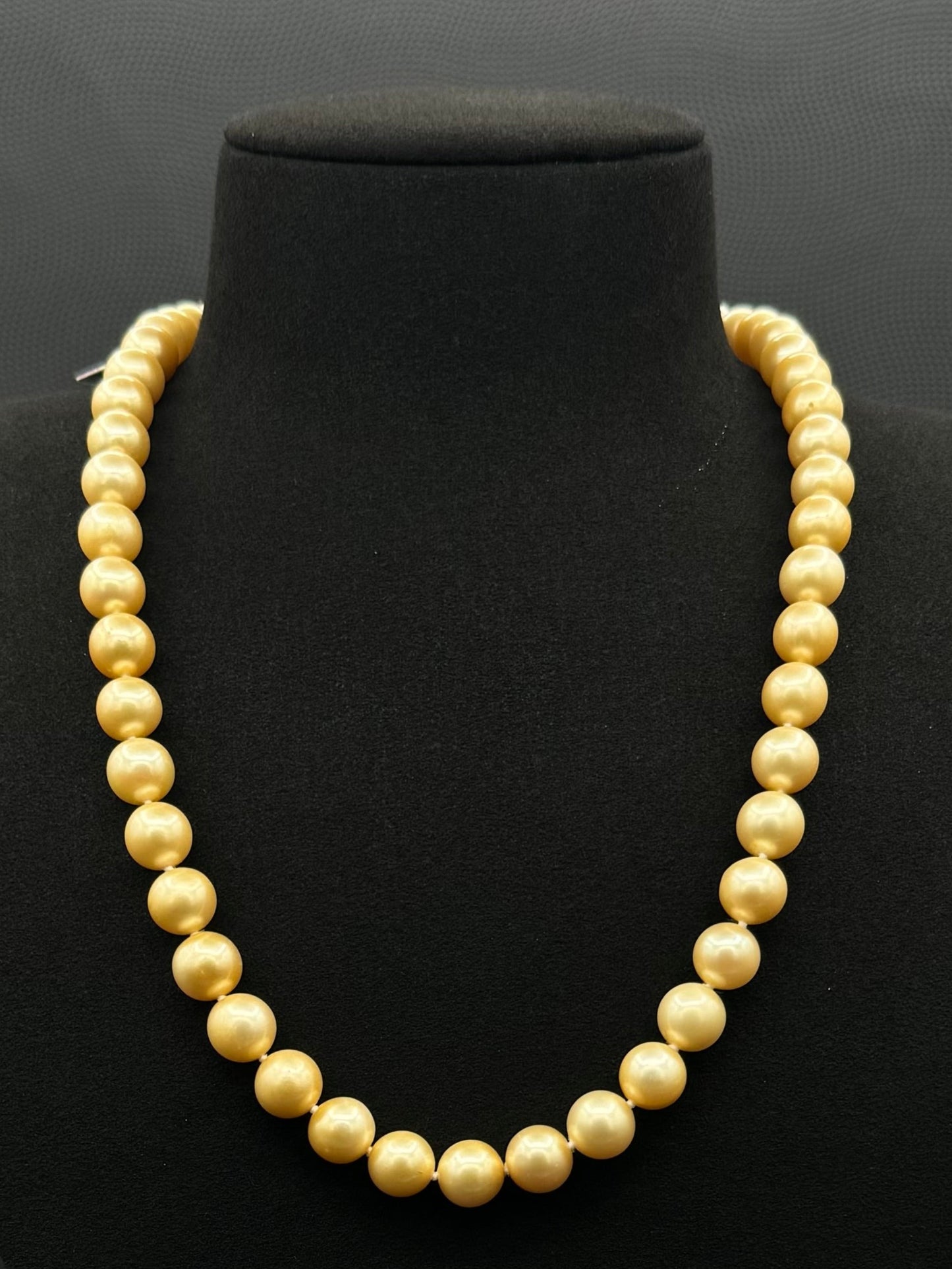 Cultured, South Sea golden pearl necklace, exhibited on black suede, fair to sound reflection, 8.5-10mm, 20", yellow gold clasp.