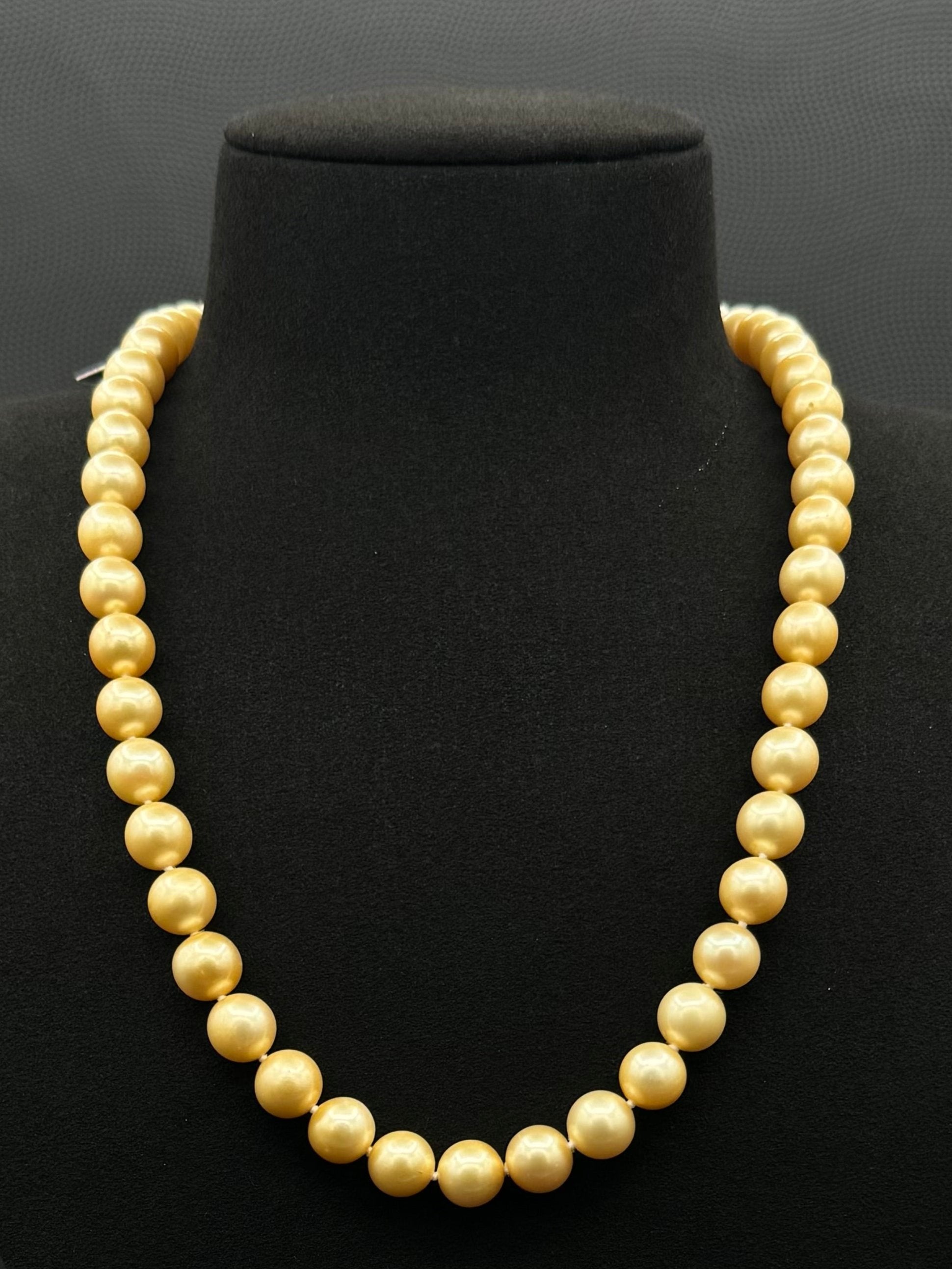 Cultured, South Sea golden pearl necklace, exhibited on black suede, fair to sound reflection, 8.5-10mm, 20", yellow gold clasp.
