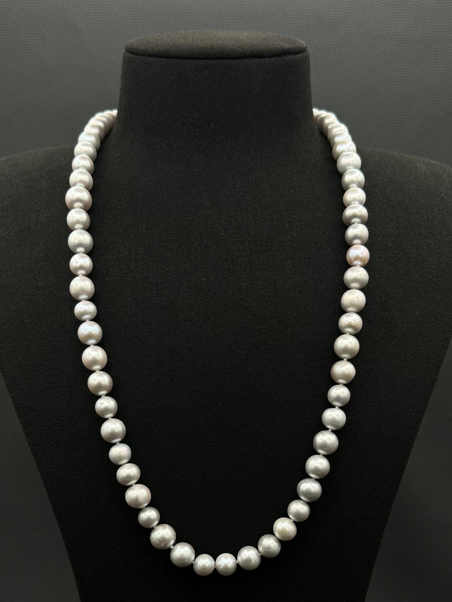 Cultured, South Sea soft grey pearl continuous strand necklace, exhibited on black suede, fair reflection, 9-10mm, 24", no clasp.