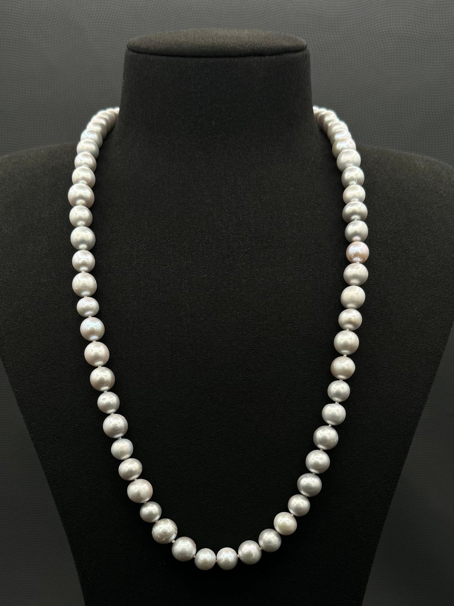 Cultured, South Sea, soft grey continuous strand pearl necklace, exhibited on black suede, fair reflection, 10-11mm, 30", no clasp.