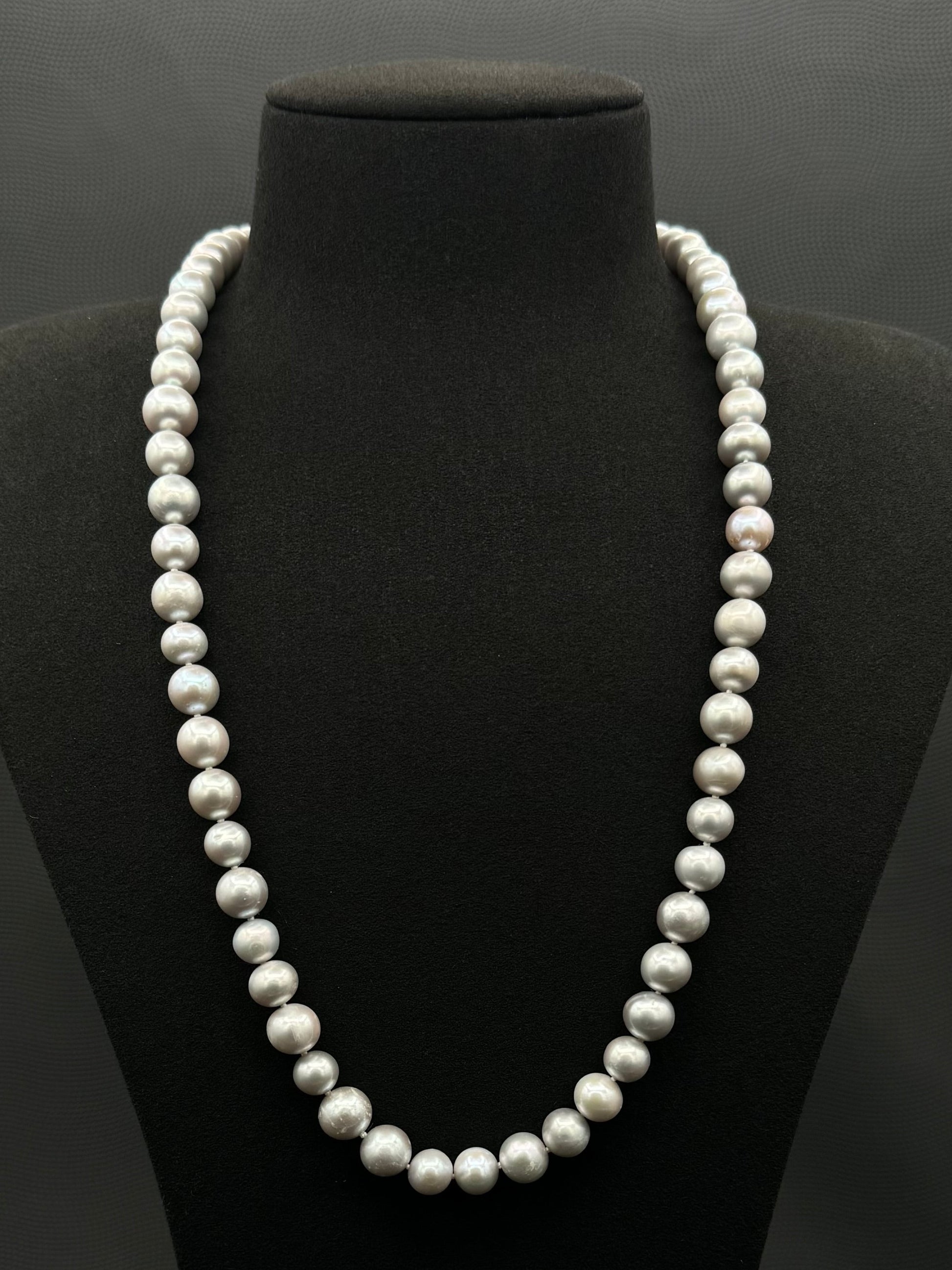 Cultured, South Sea, soft grey continuous strand pearl necklace, exhibited on black suede, fair reflection, 10-11mm, 30", no clasp.