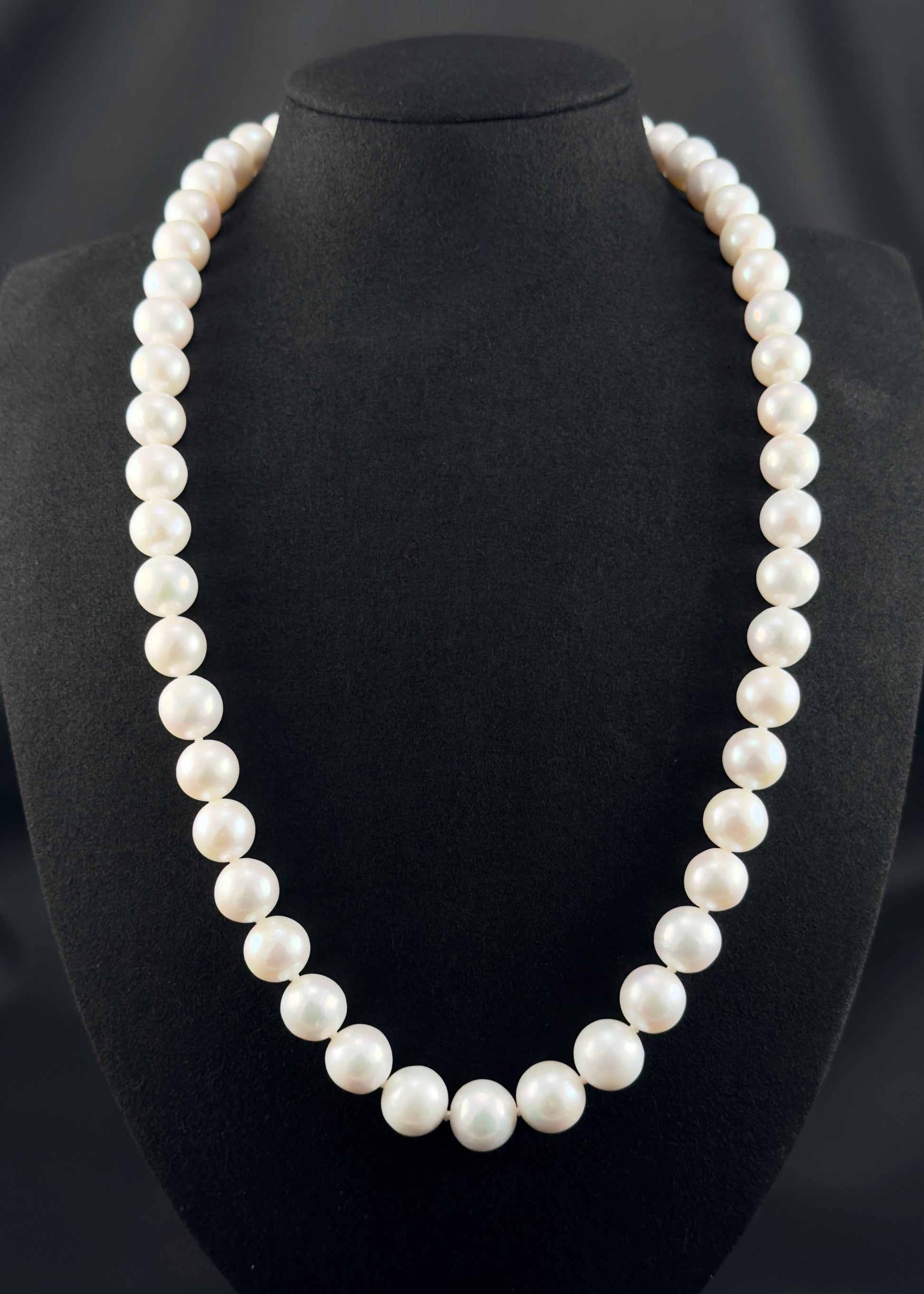 Cultured, South Sea white pearl continuous strand necklace, exhibited on black suede, excellent reflection, 11-12.5mm, 23.5", no clasp.