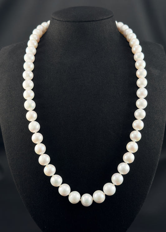 Cultured, South Sea white pearl continuous strand necklace, exhibited on black suede, excellent reflection, 11-12.5mm, 23.5", no clasp.