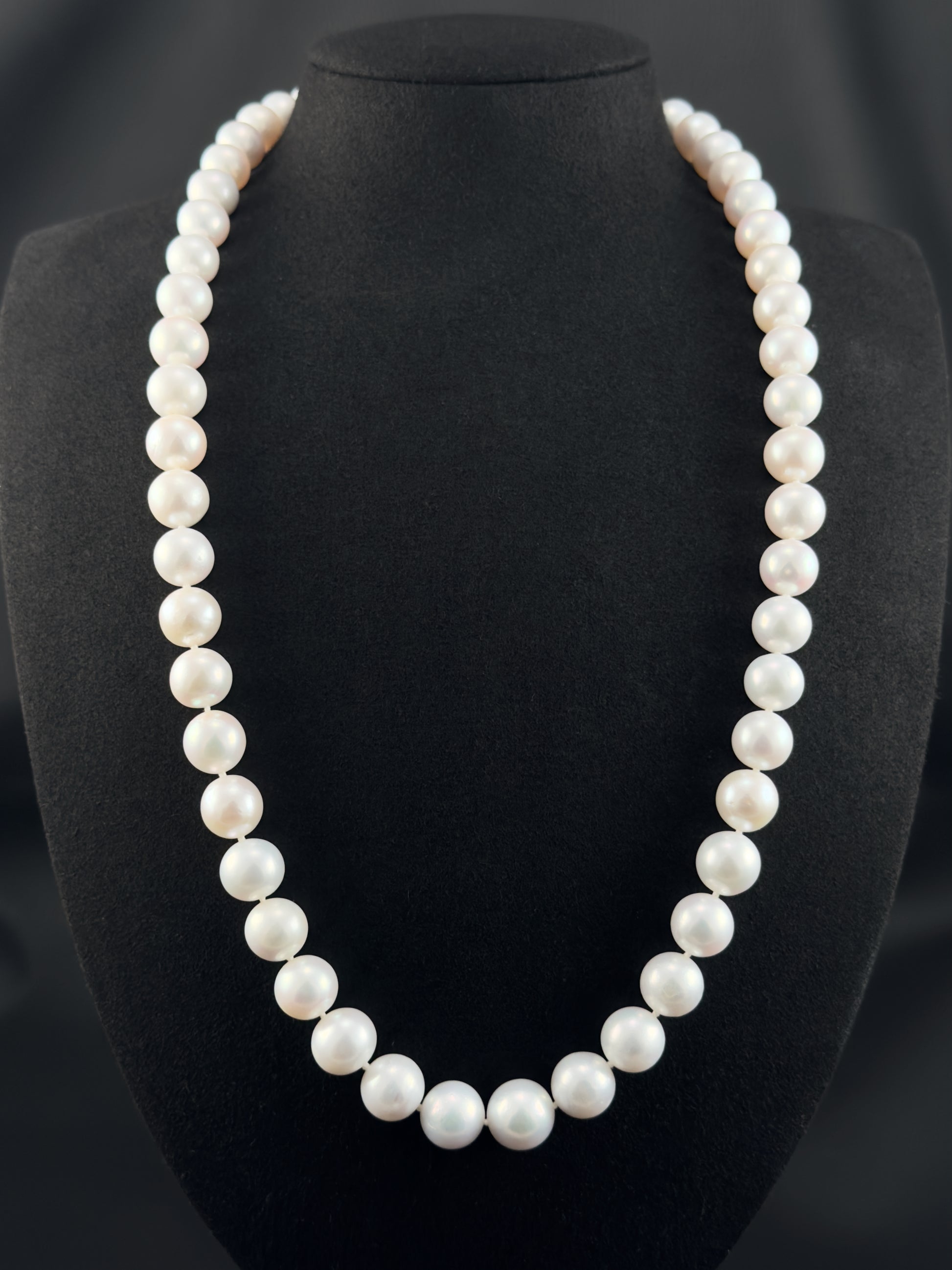 Cultured, South Sea, white pearl necklace, exhibit on black suede, sharp reflection, 10-12mm, 24", white gold clasp.