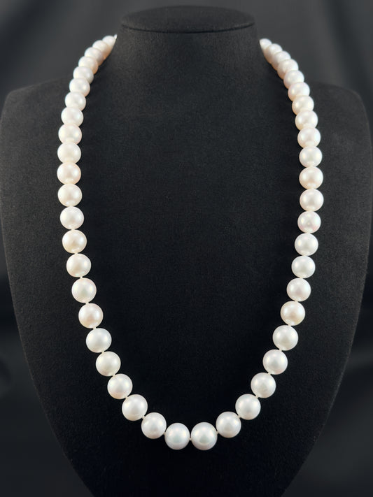 Cultured, South Sea, white pearl necklace, exhibit on black suede, sharp reflection, 10-12mm, 24", white gold clasp.