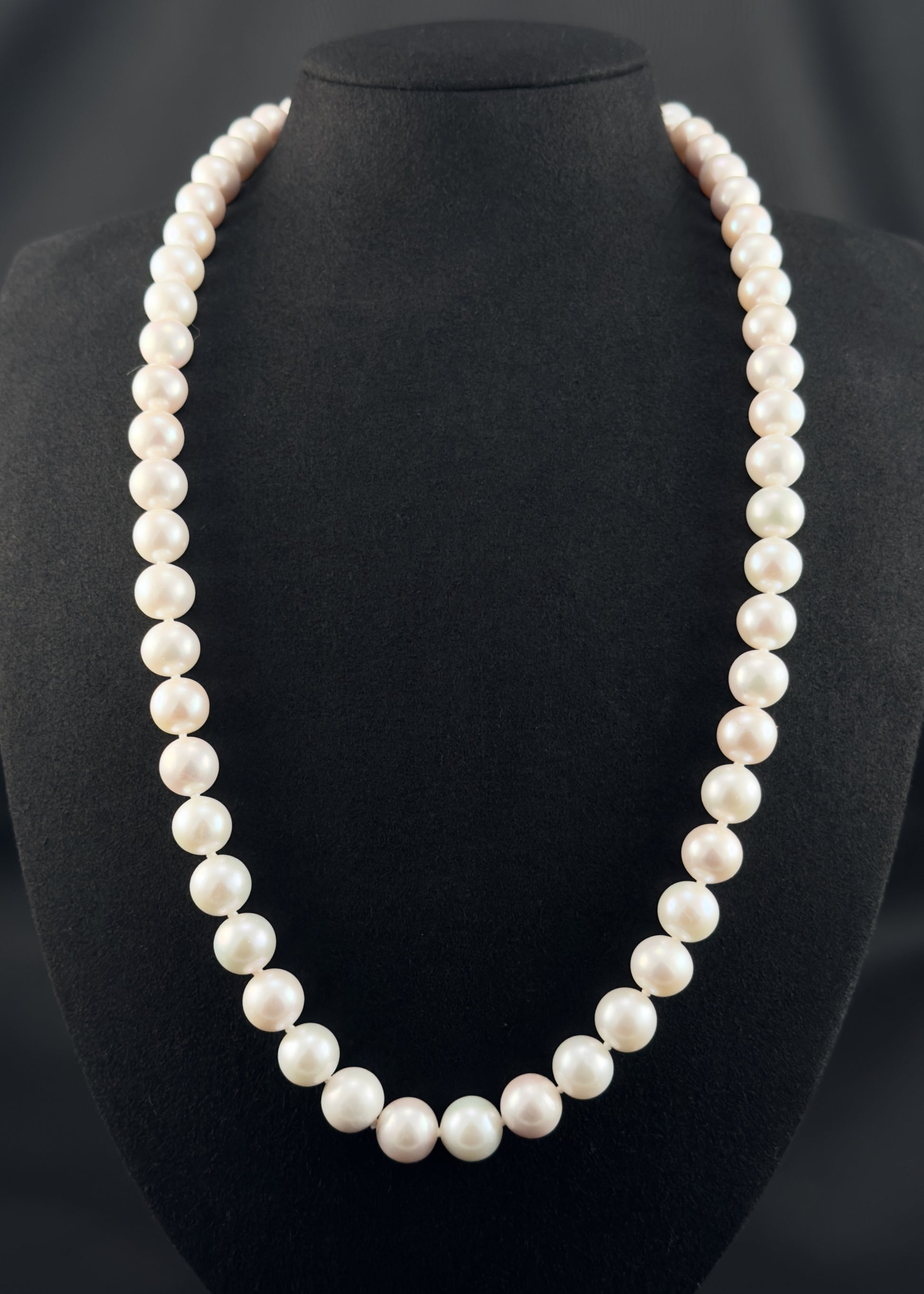 Cultured, South Sea white pearl continuous strand necklace, exhibited on black suede, excellent reflection, 9.5-11mm, 24", no clasp.